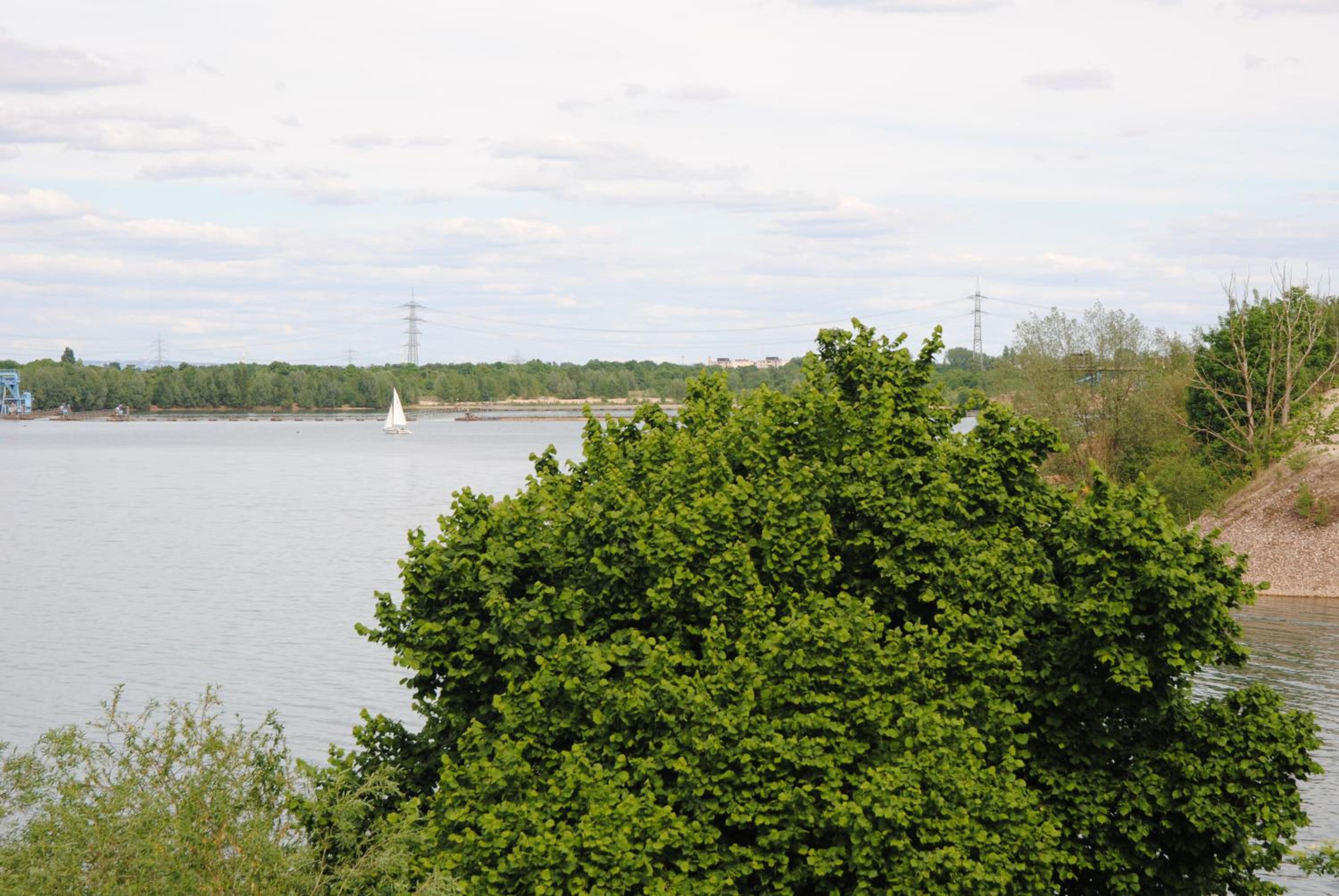 Photo 48