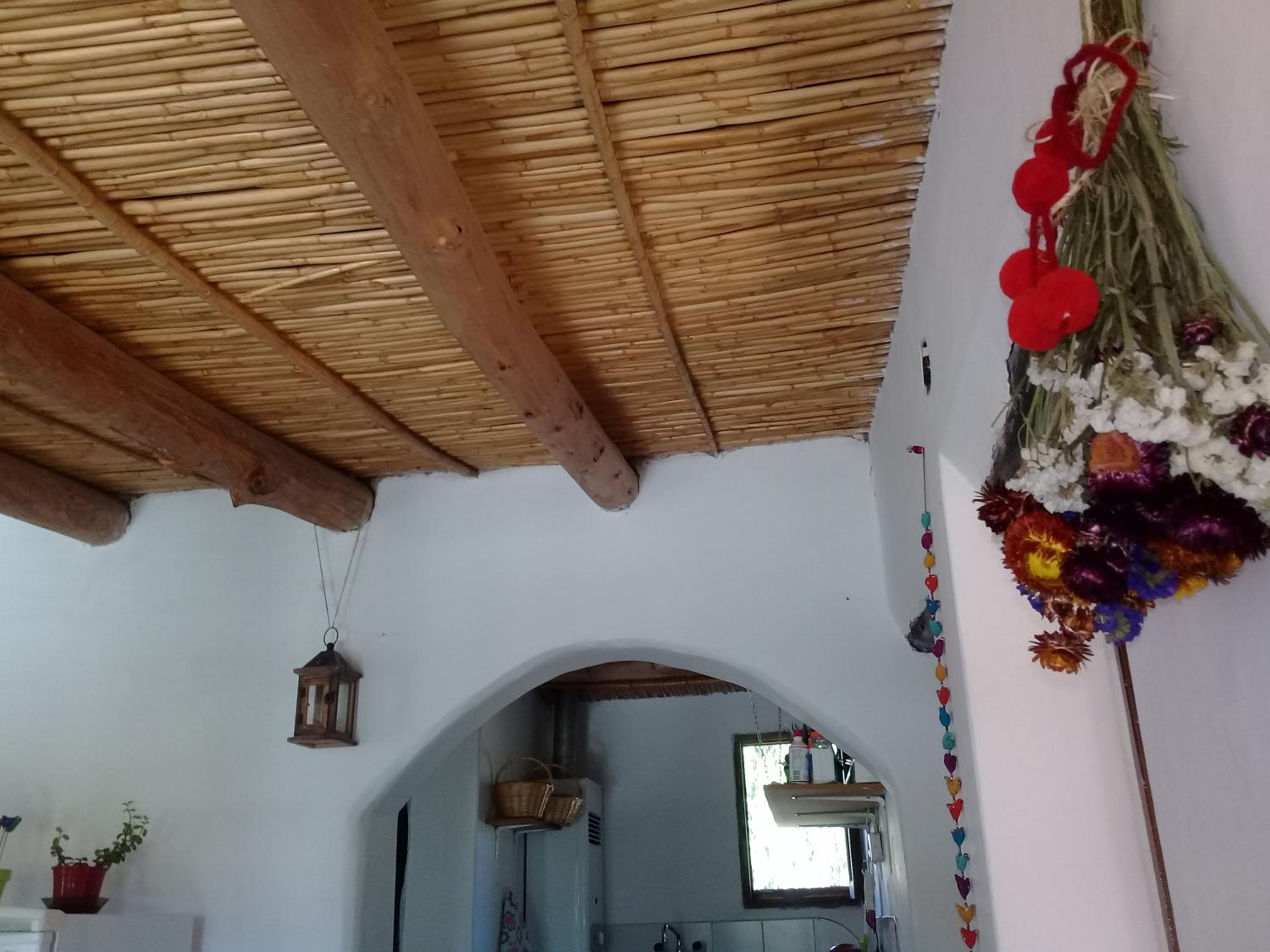 Cabaña El Cardón,casita en el campo quebradeño