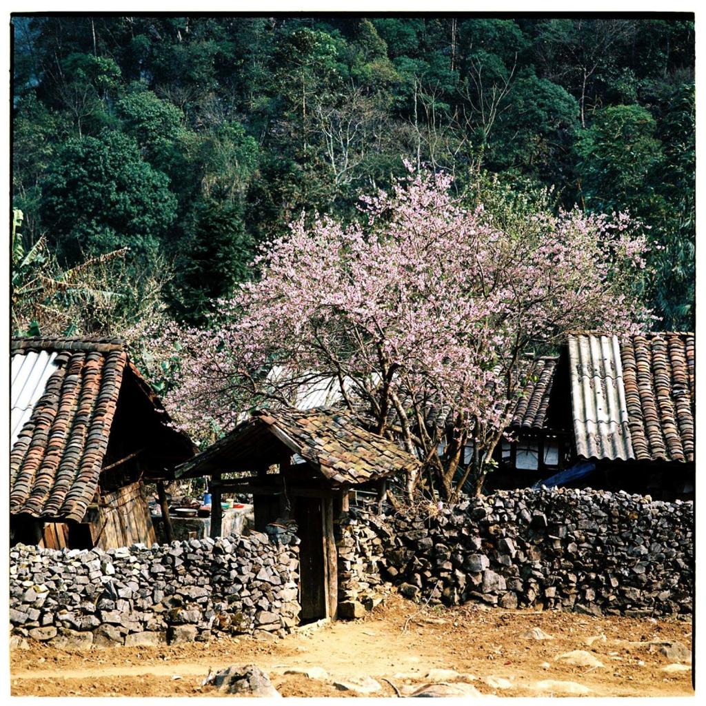 Huyen Tram Guesthouse view 5