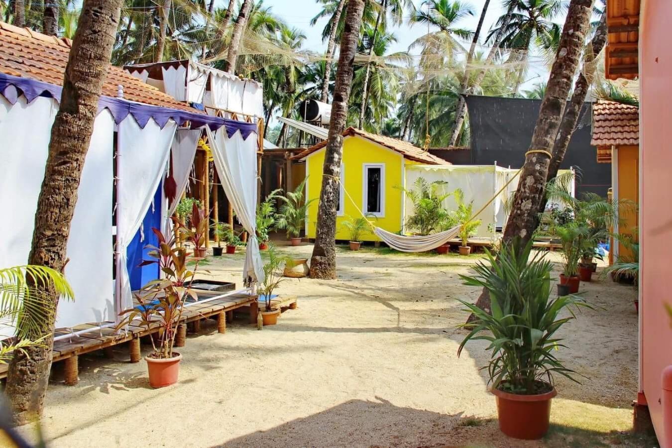 Photo 236