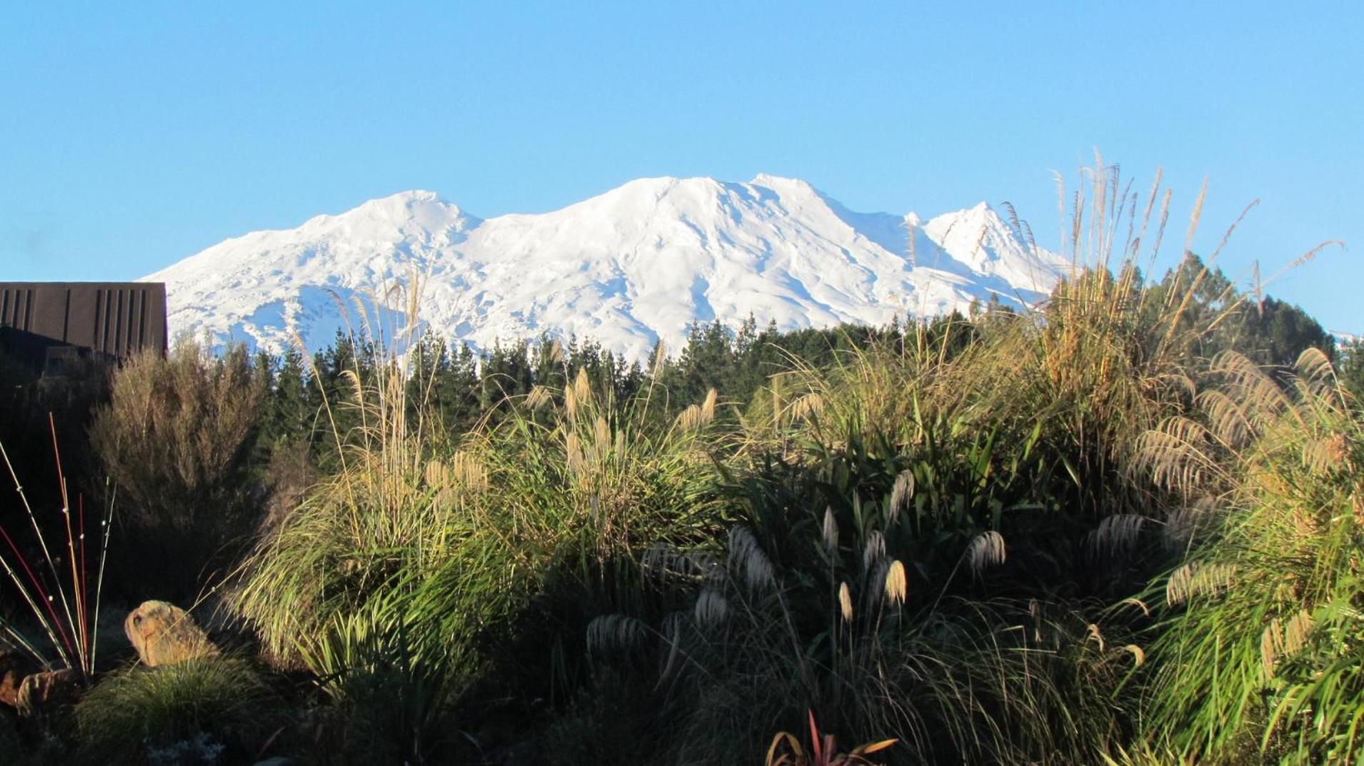 Tongariro Suites