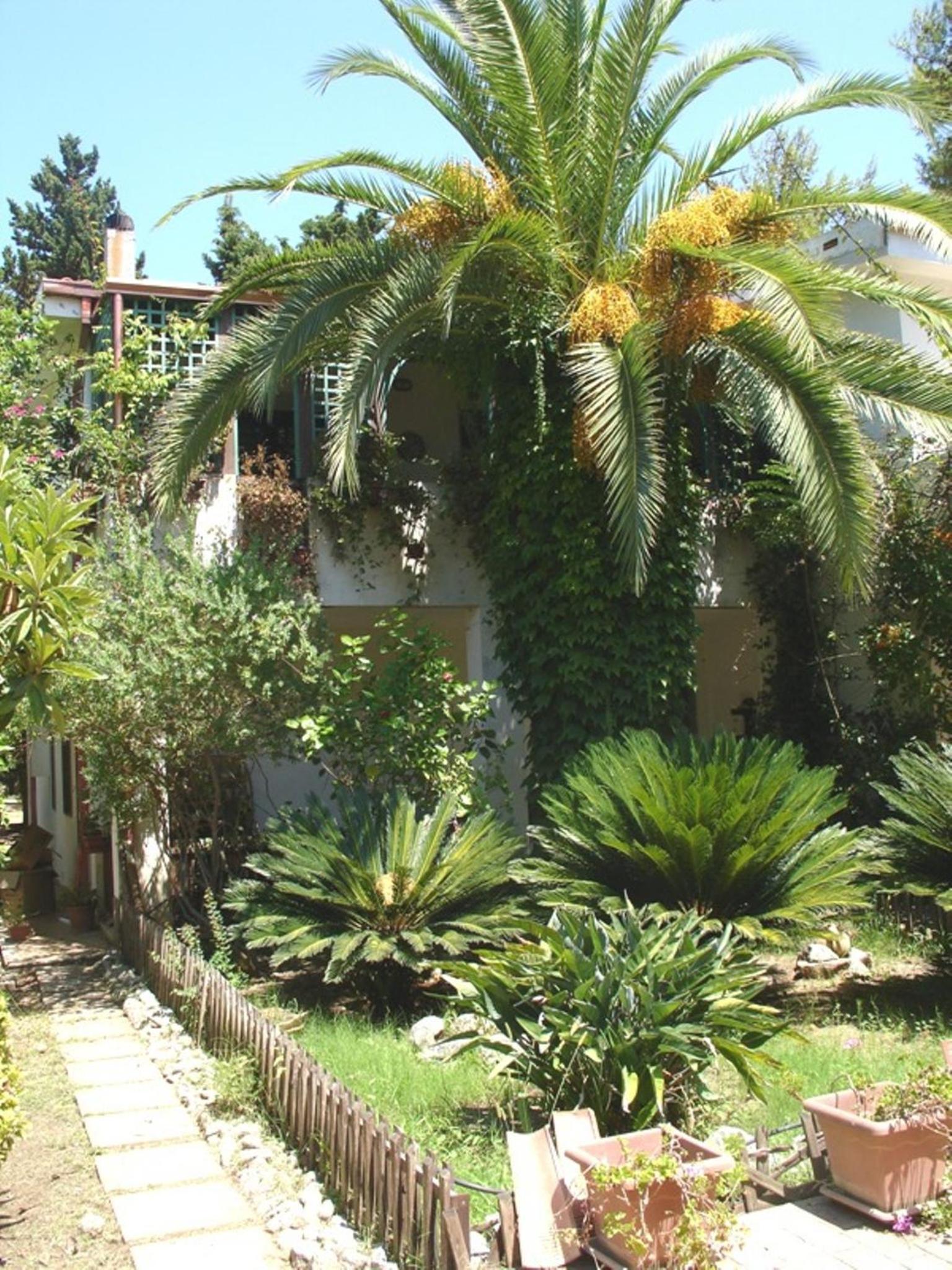 Case e Appartamenti Vacanze a Bivona - sul mare