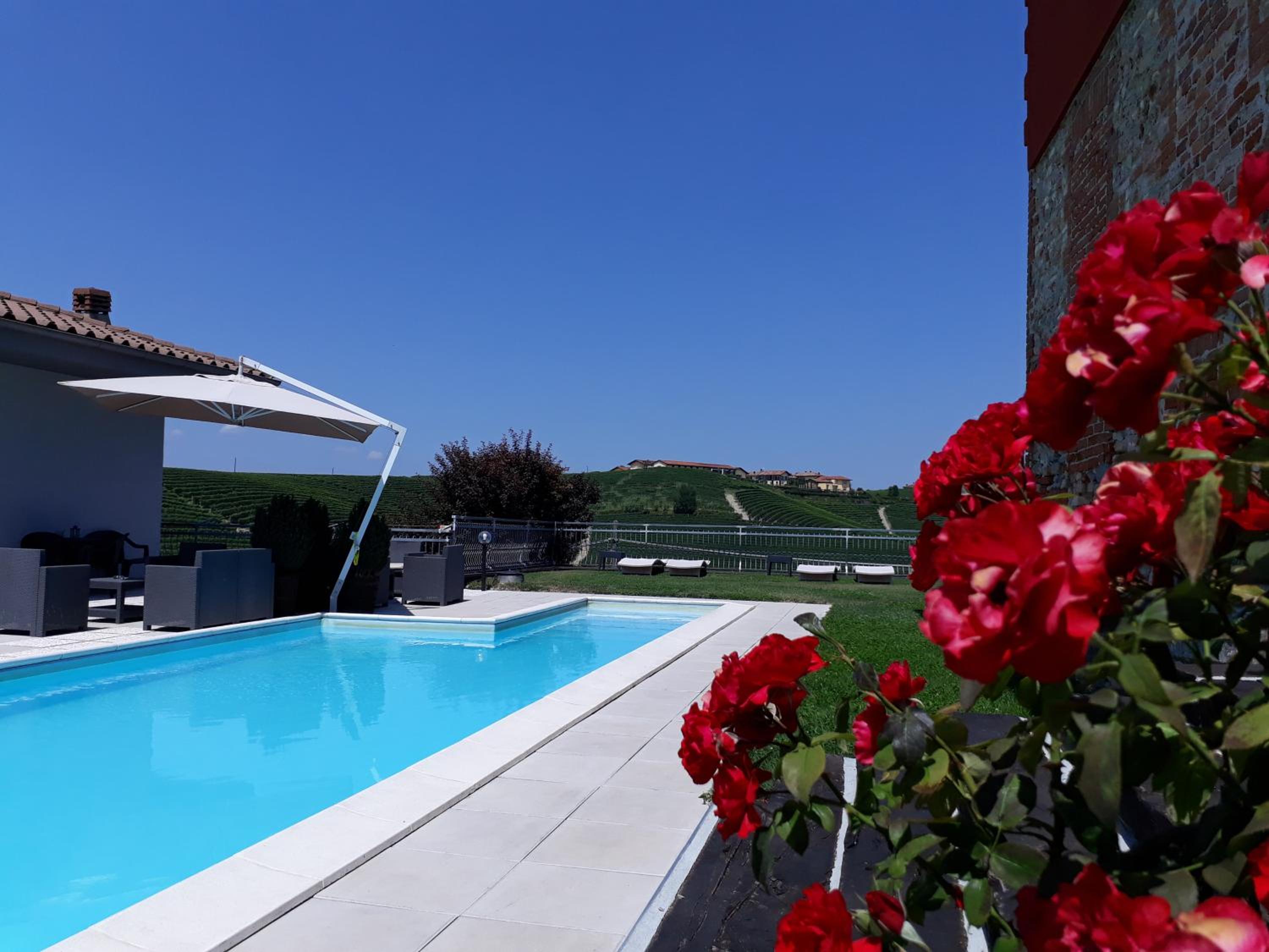 Red Wine Camere view 5