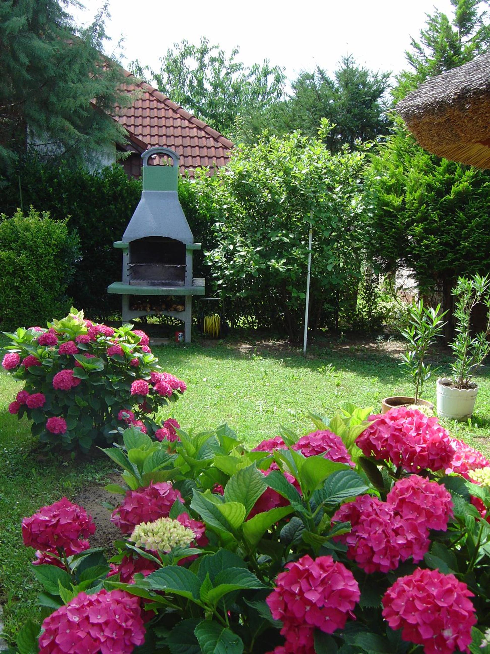 Photo 63