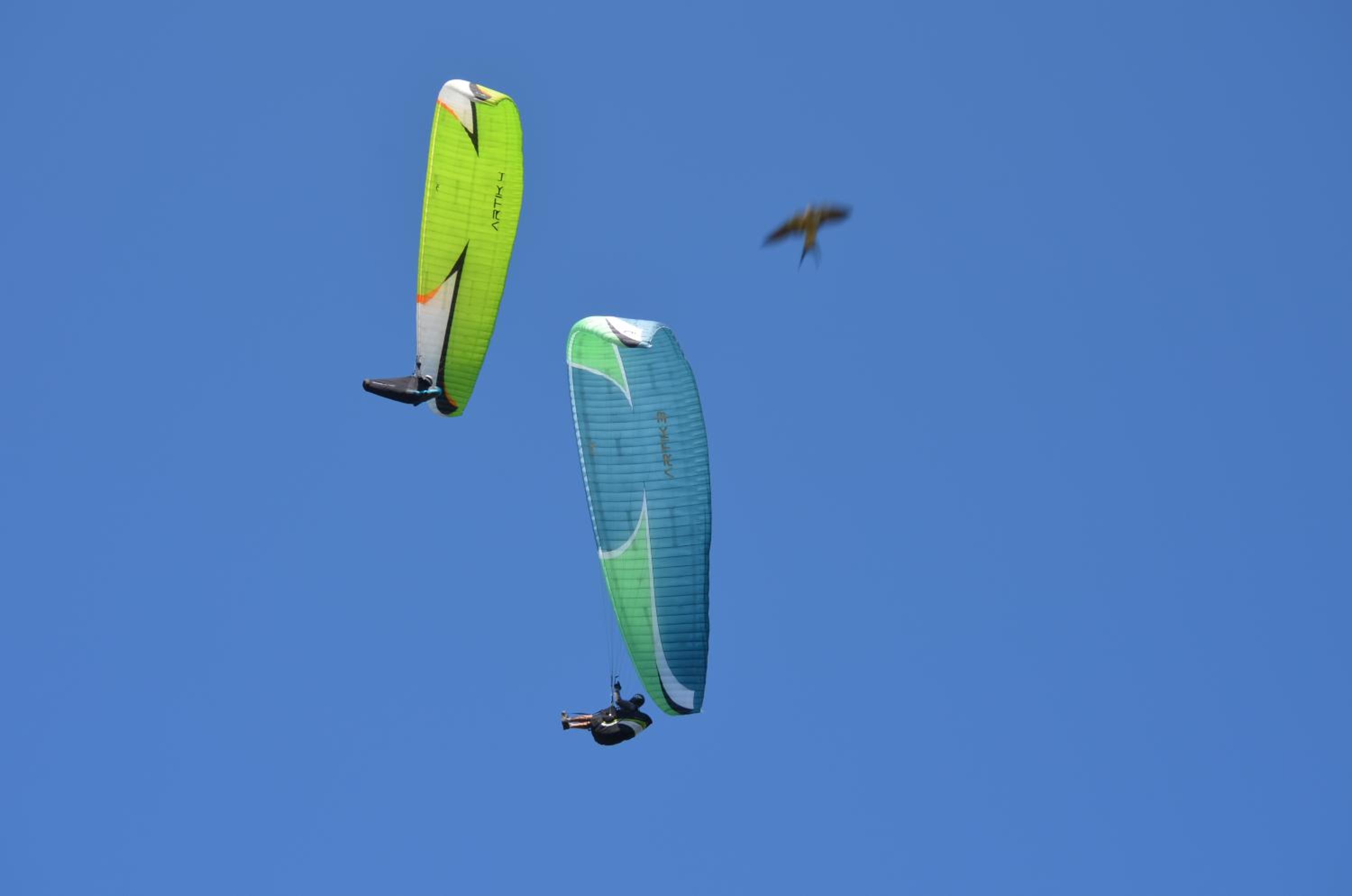 Photo 40