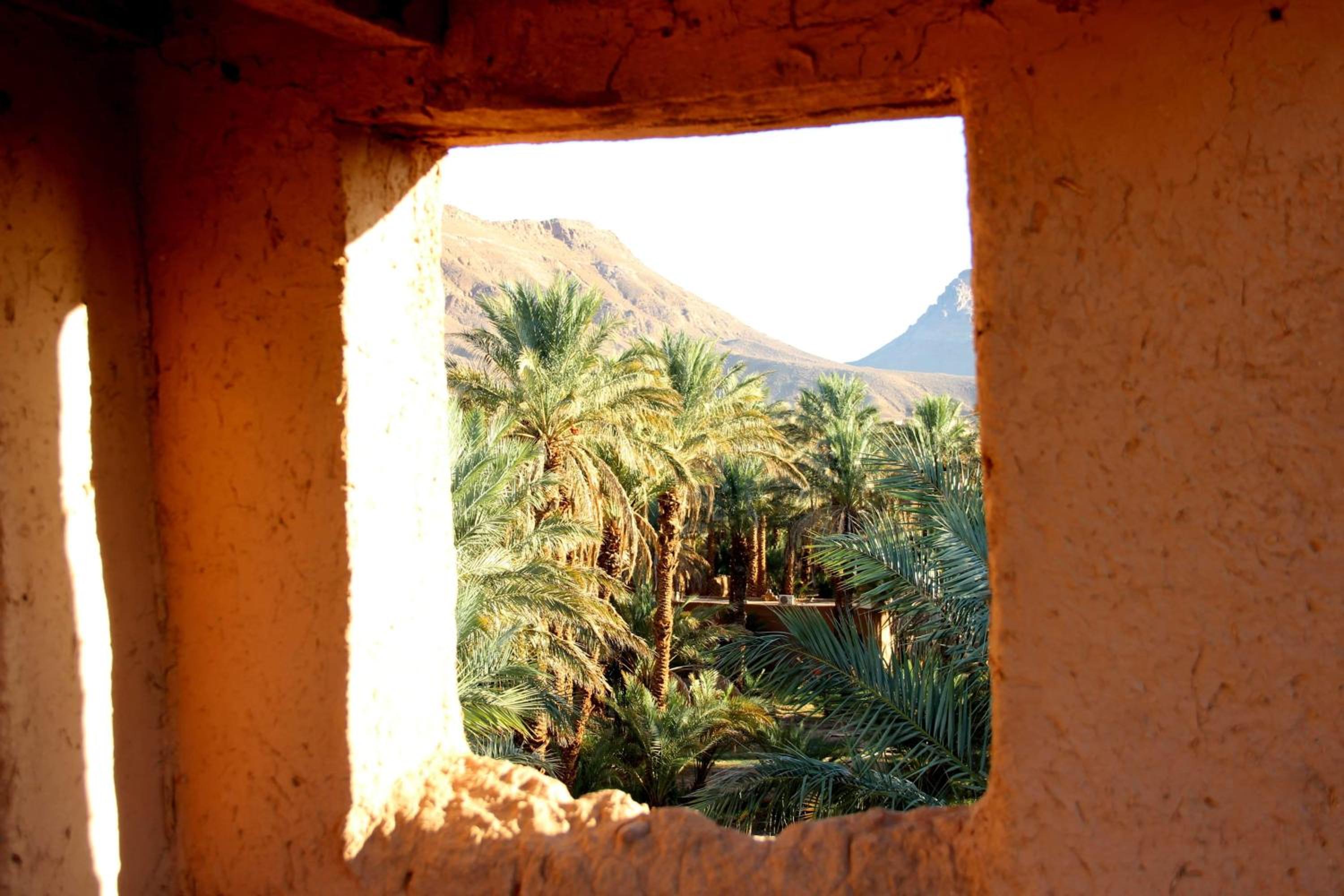 Riad Tagmadarte Ferme d'Hôte view 5