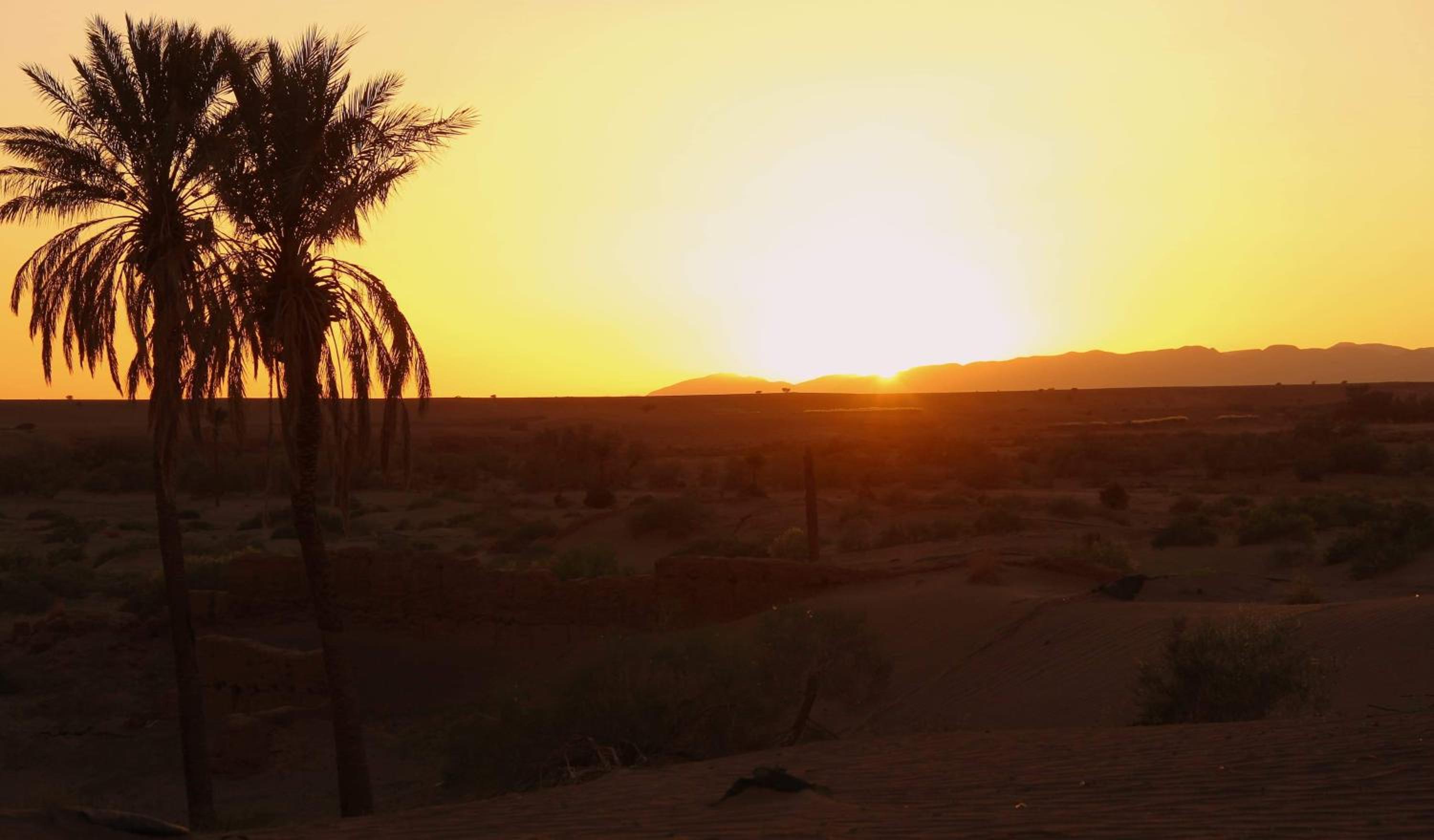 Riad Tagmadarte Ferme d'Hôte view 4