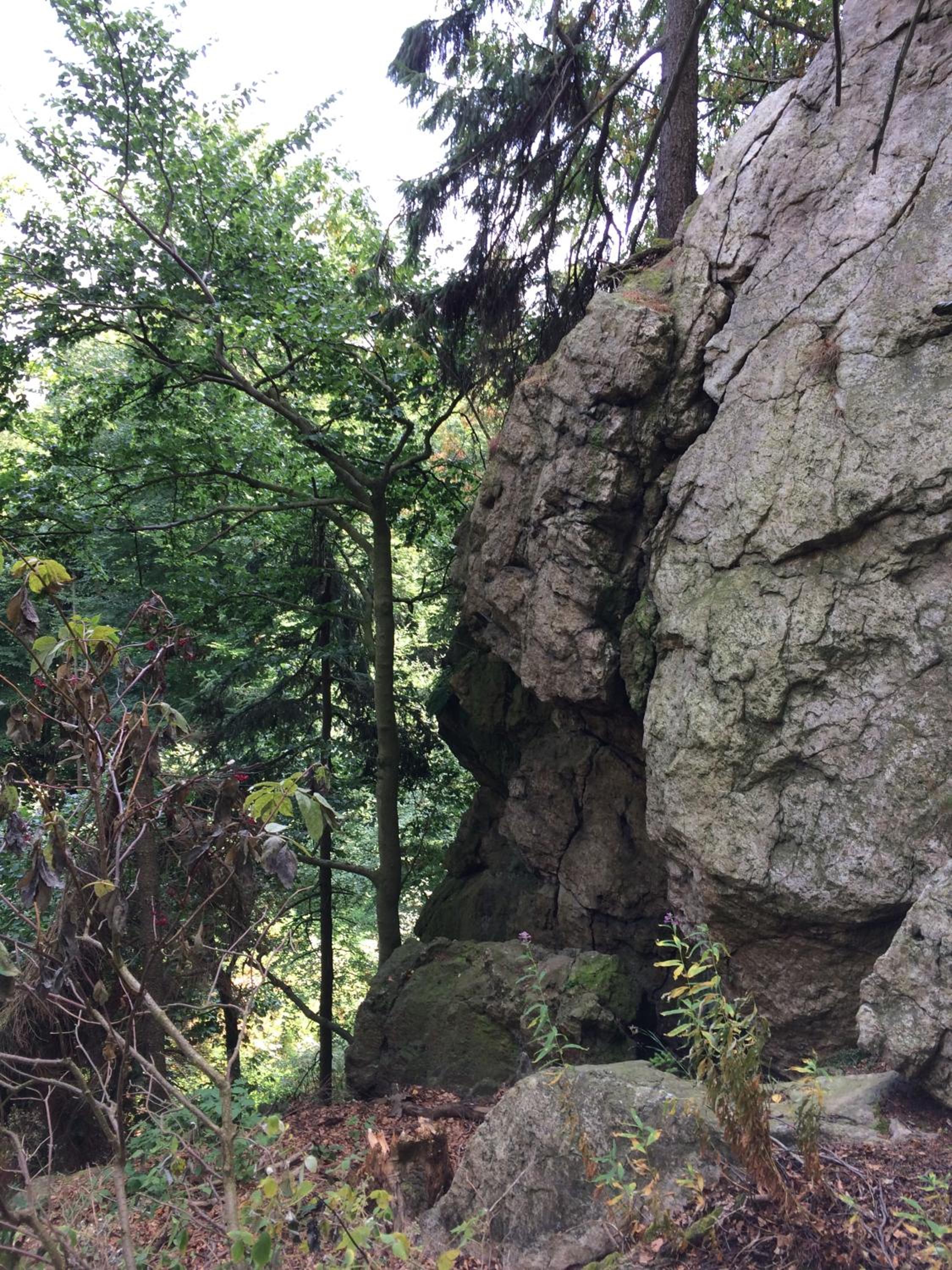 Photo 17