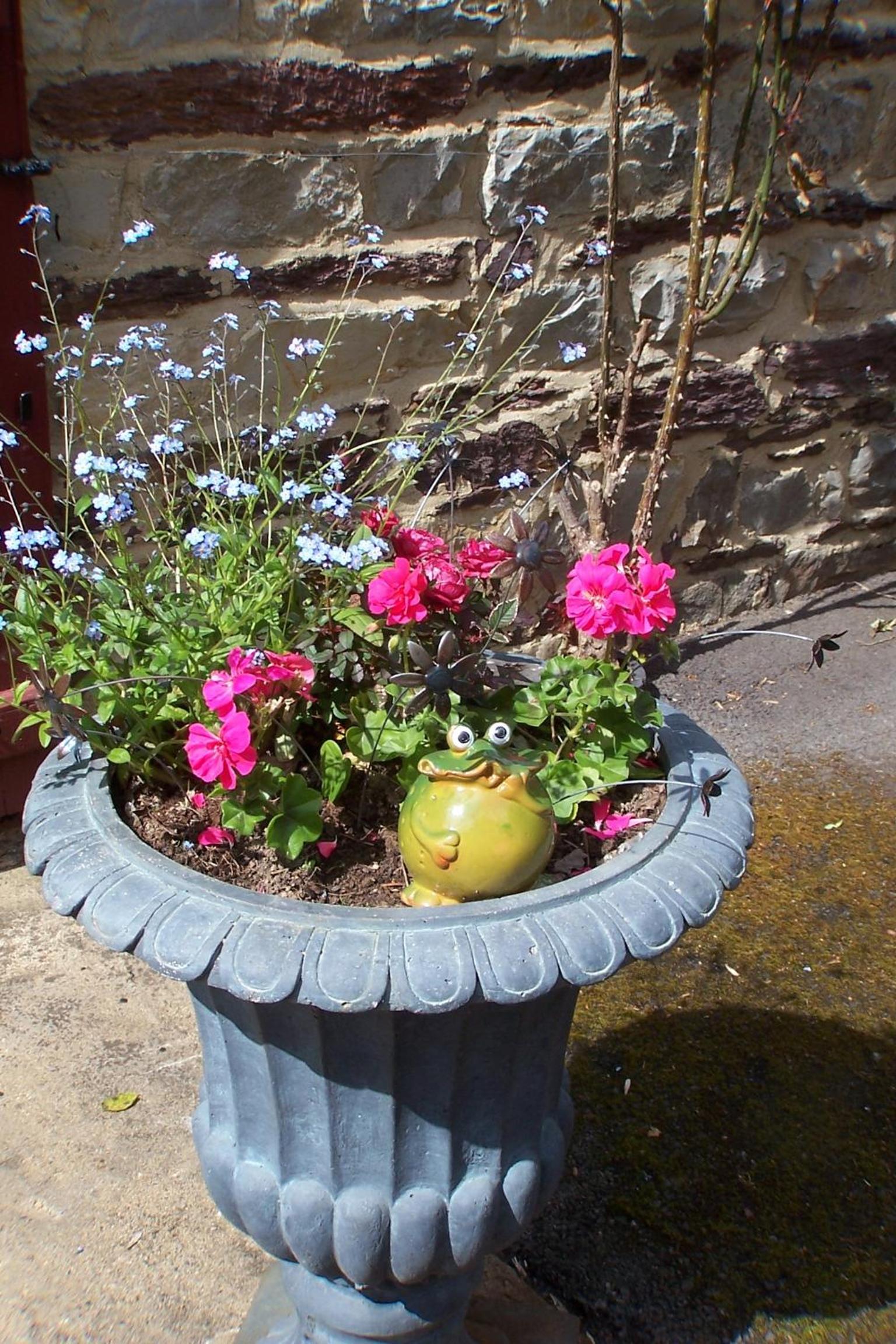Photo 48