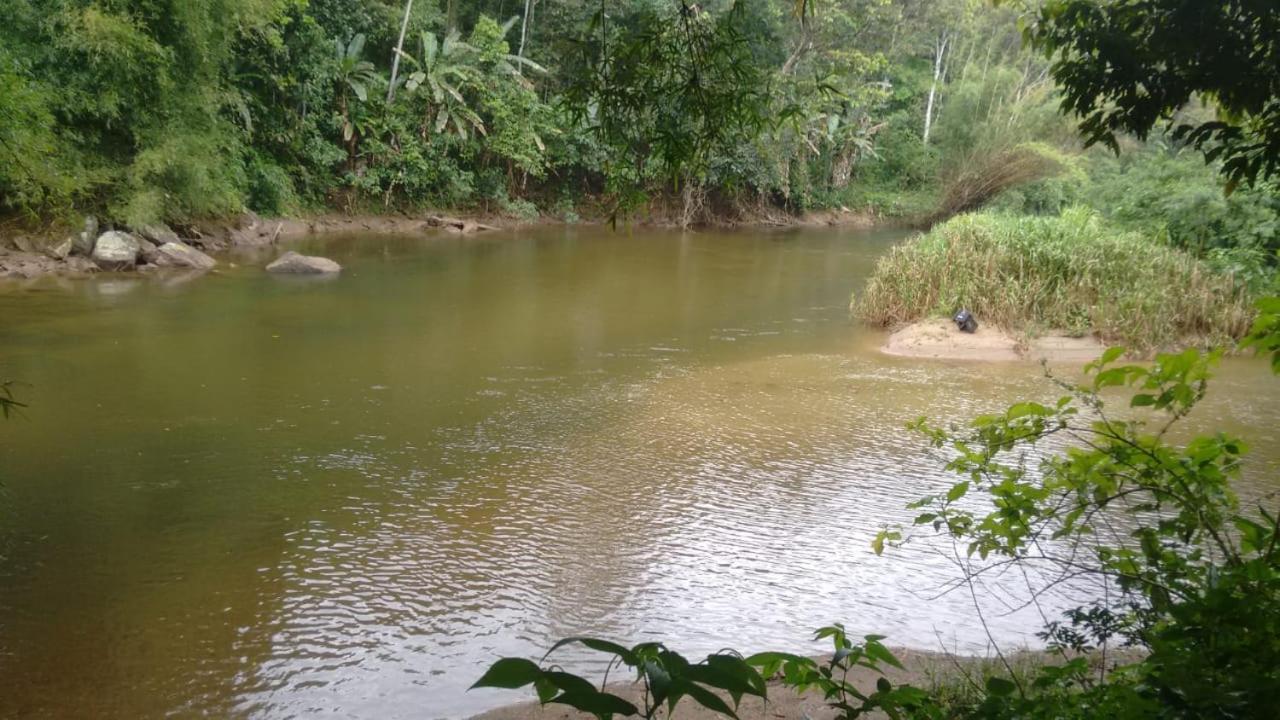 Recanto da natureza