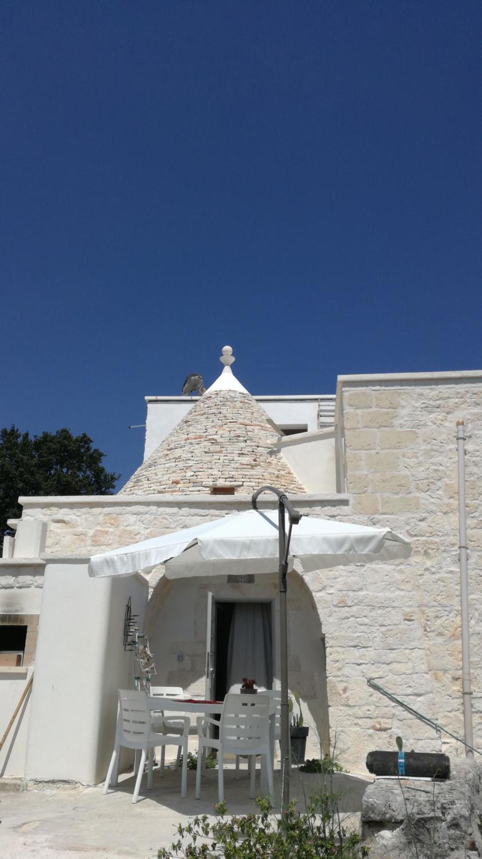 Photo 35