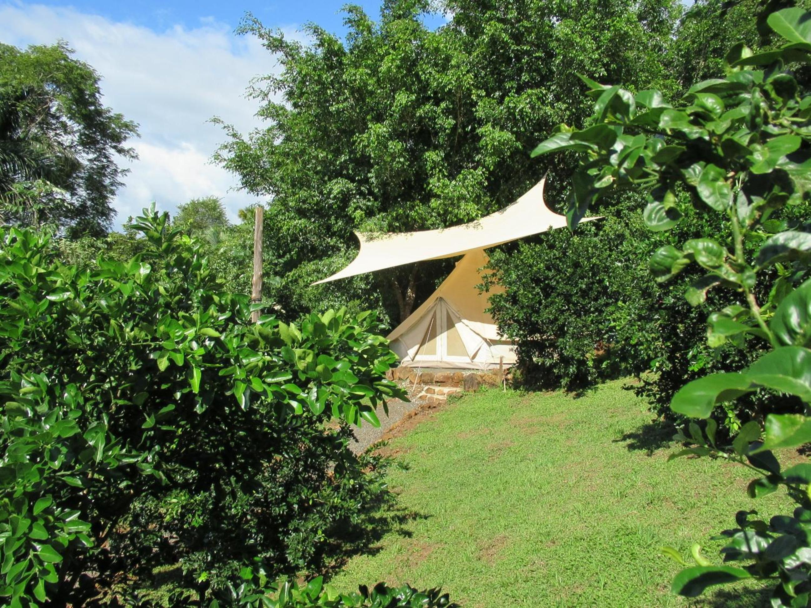 Hotel Alouatta Playa Coyote - Image 1