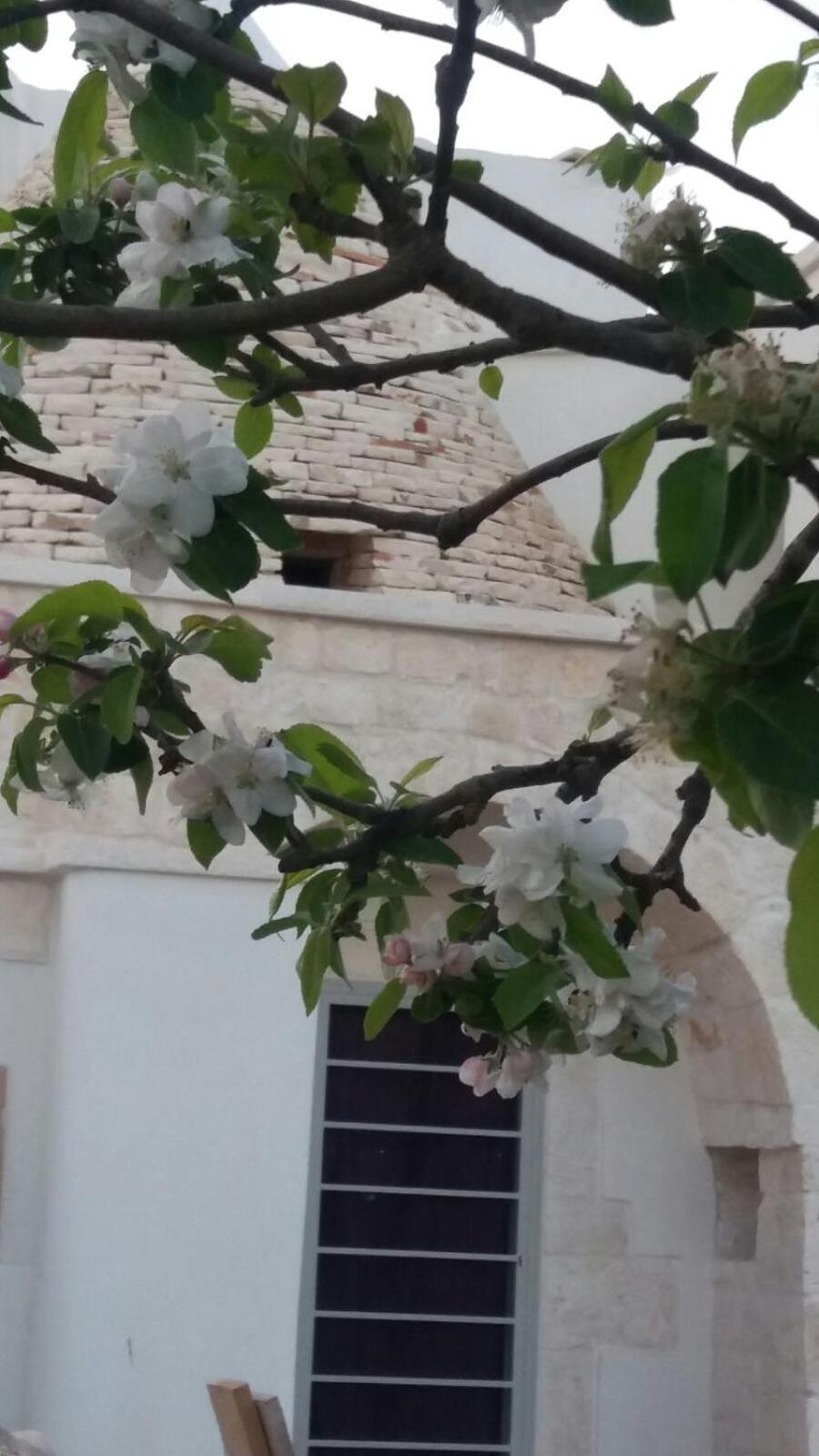 Photo 31