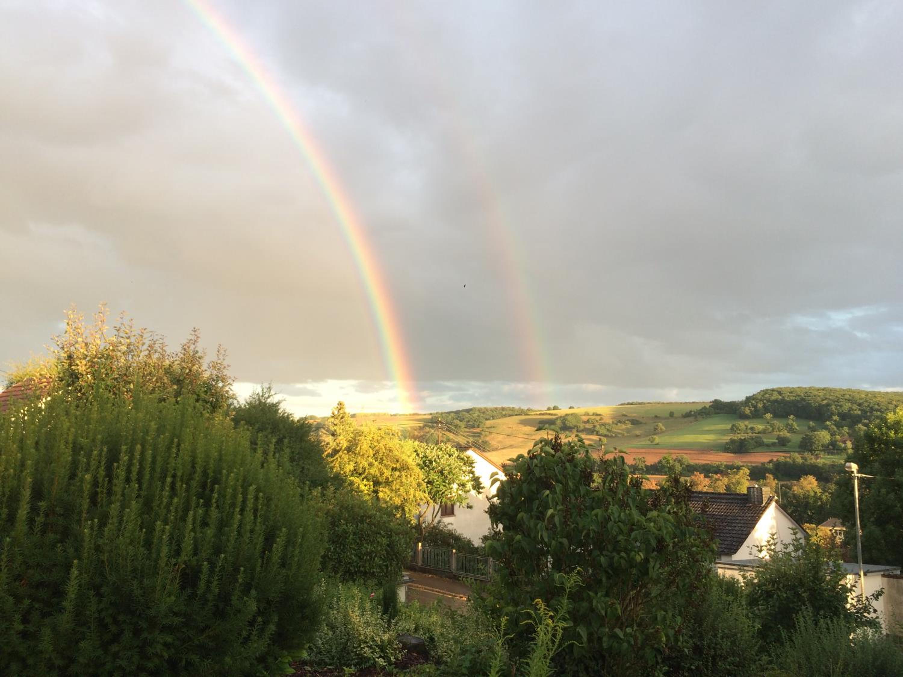 Panoramablick