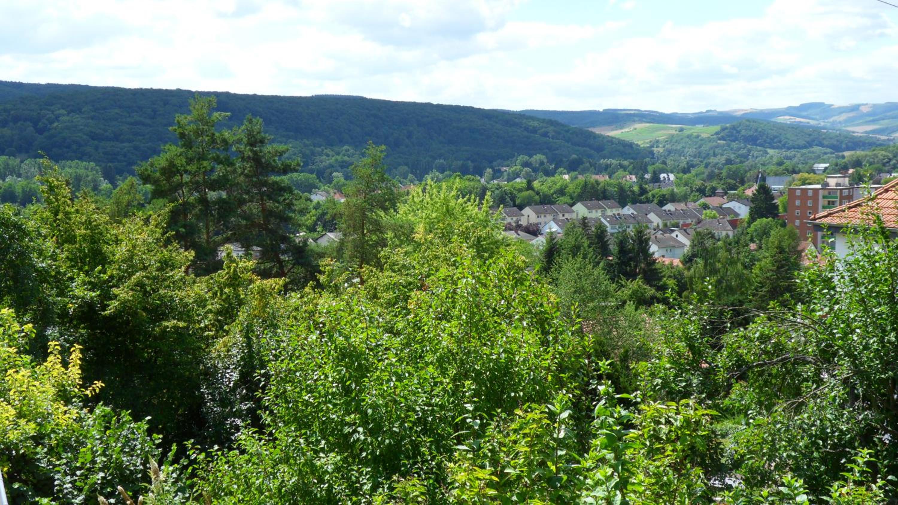 Panoramablick