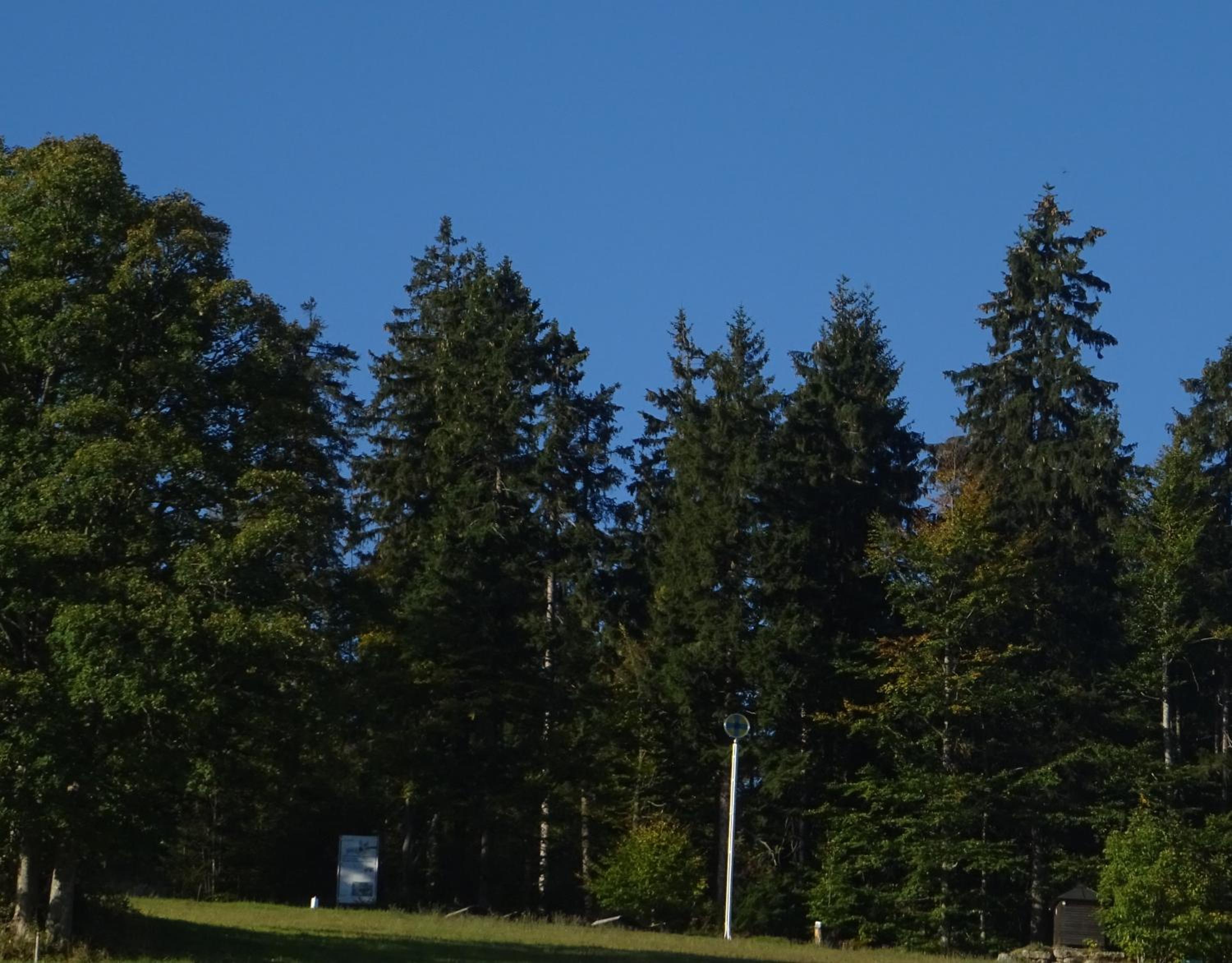 Apartment Almberg