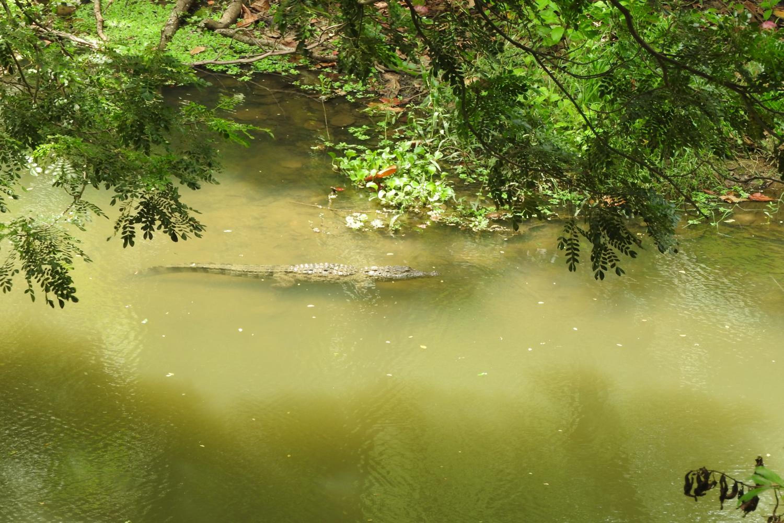 Photo 41