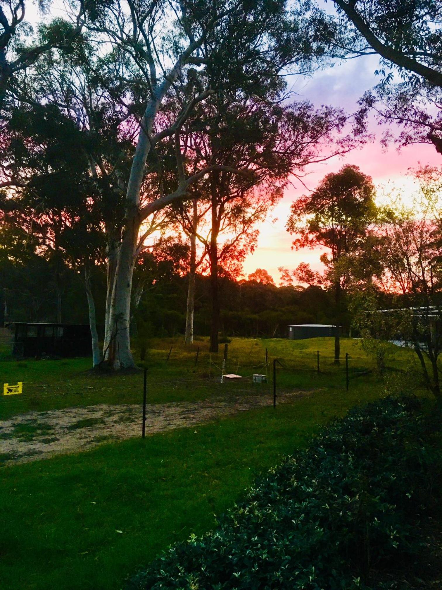 Hunter Valley Retreat