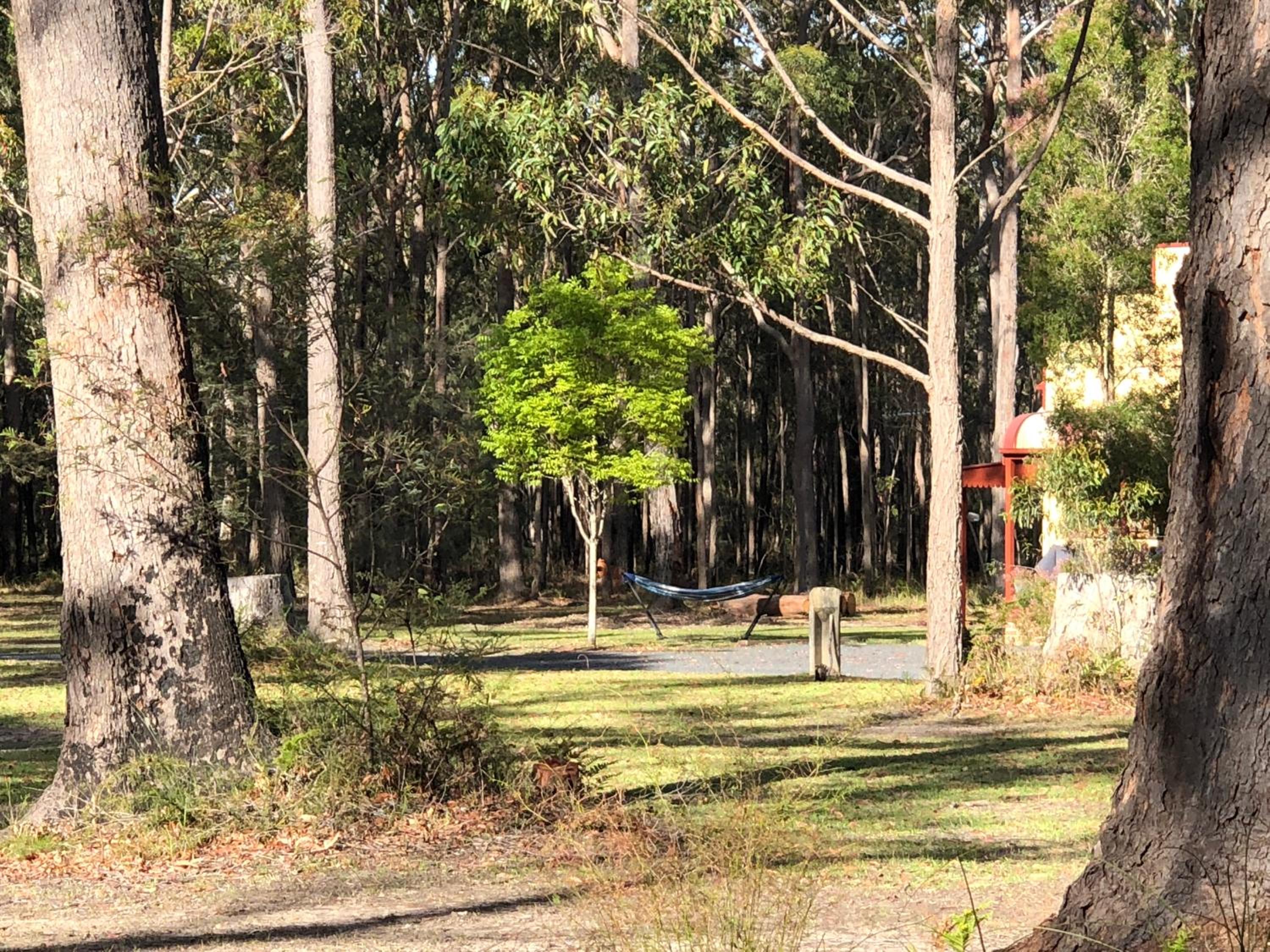 Bay and Bush Jervis Bay - Nature Retreat
