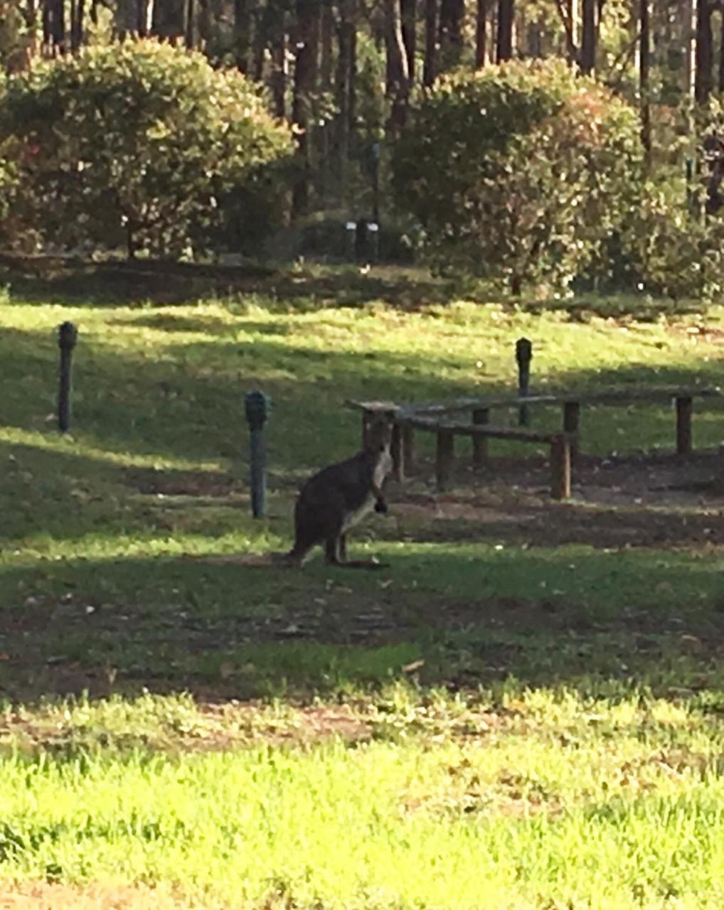 Hunter Valley Retreat