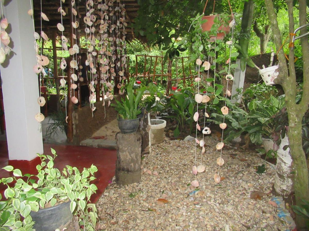 Photo 32