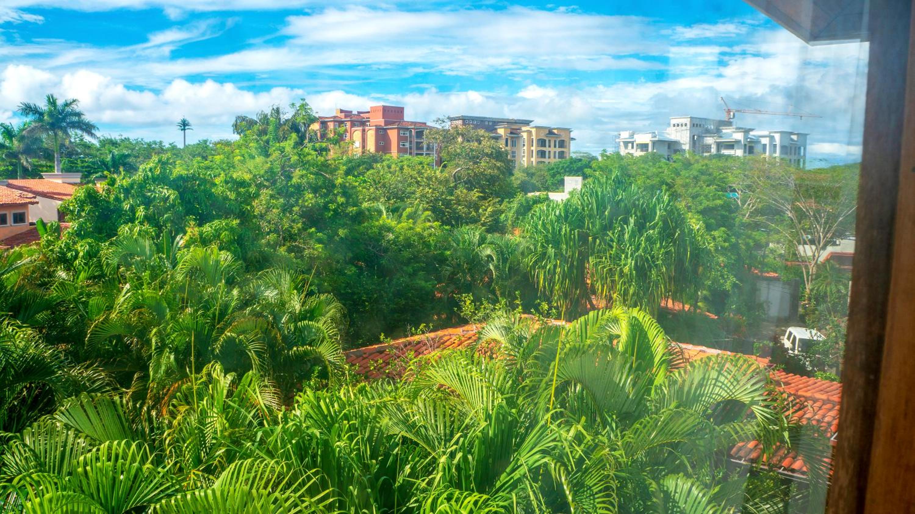 CW2 Casa Wasabi 2bed+1bath view 2