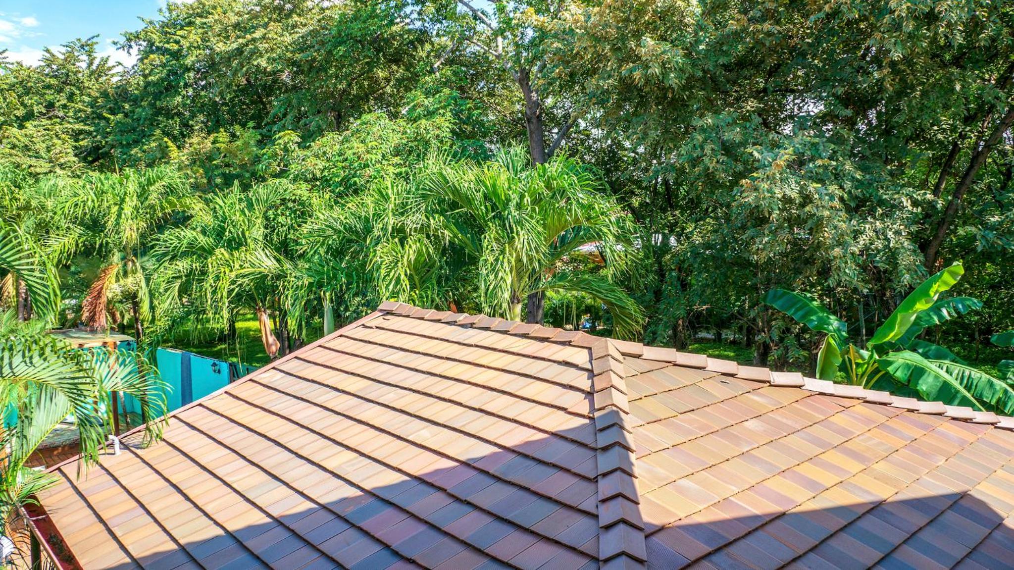 CW2 Casa Wasabi 2bed+1bath view 4