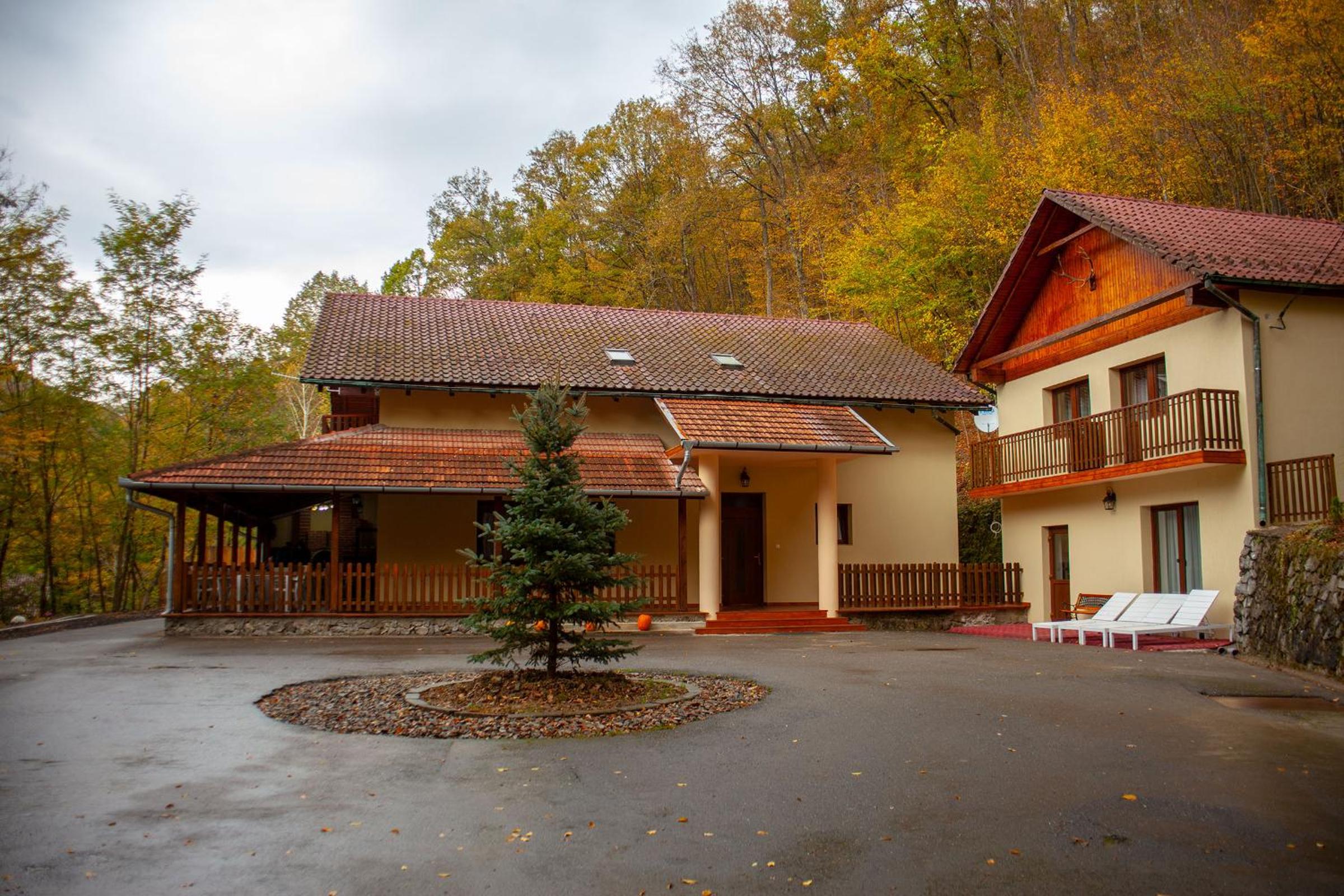 Hotel Pensiunea Valea Gepisului