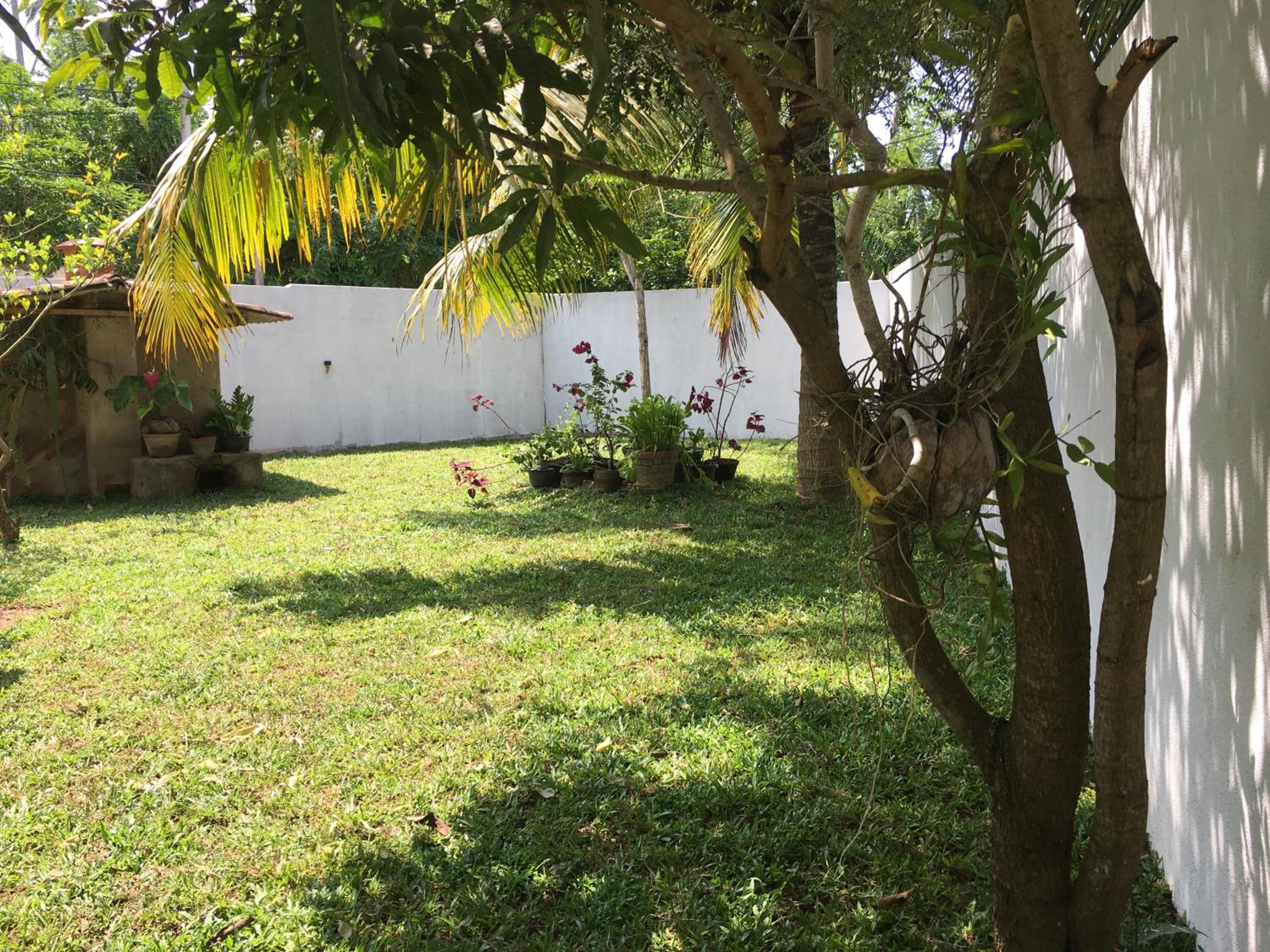 Photo 26