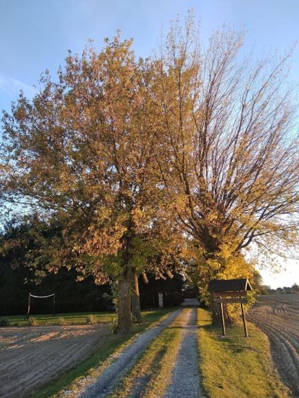 Agroturystyka Pod Świerkami view 3
