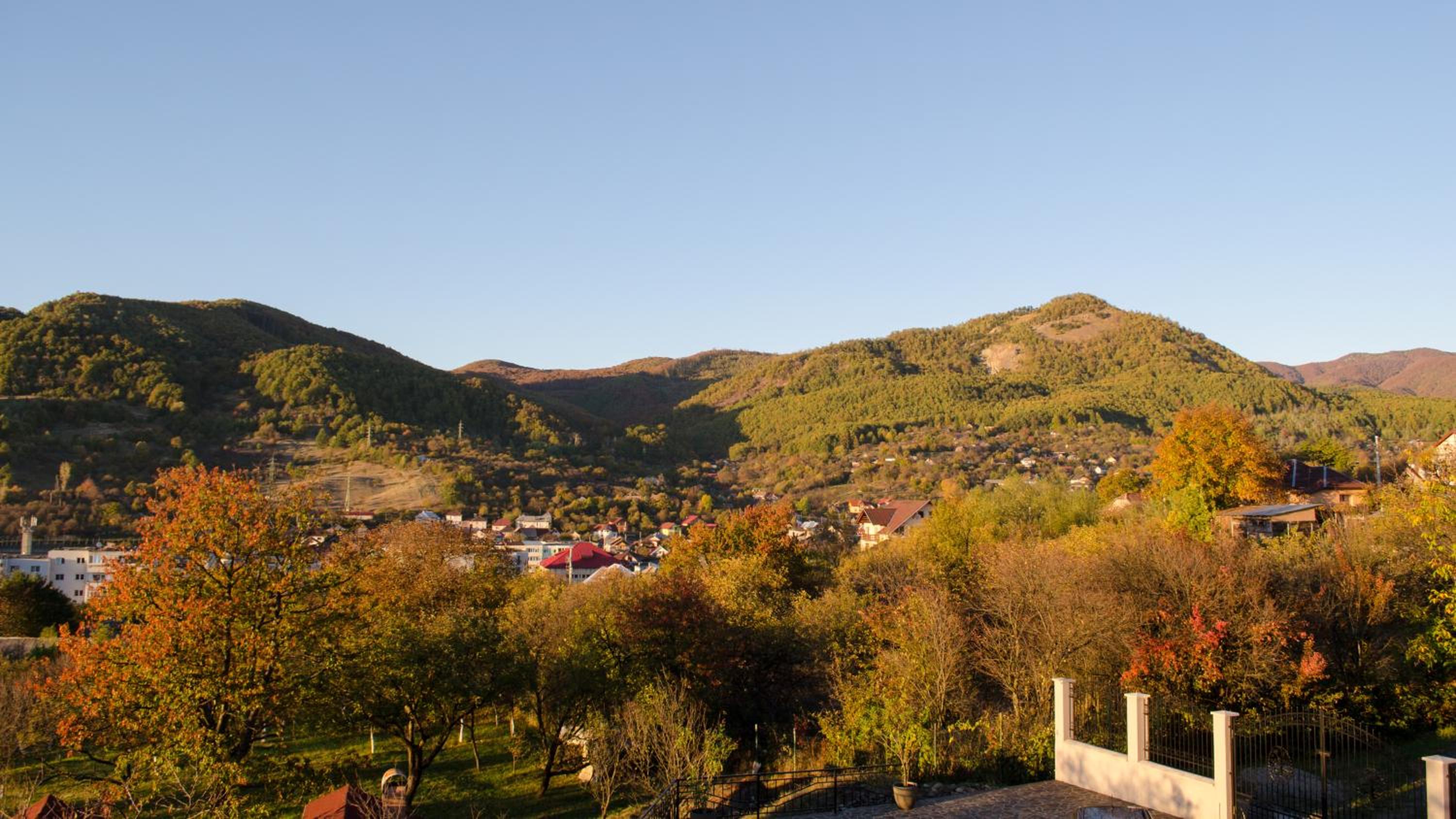 Photo 43