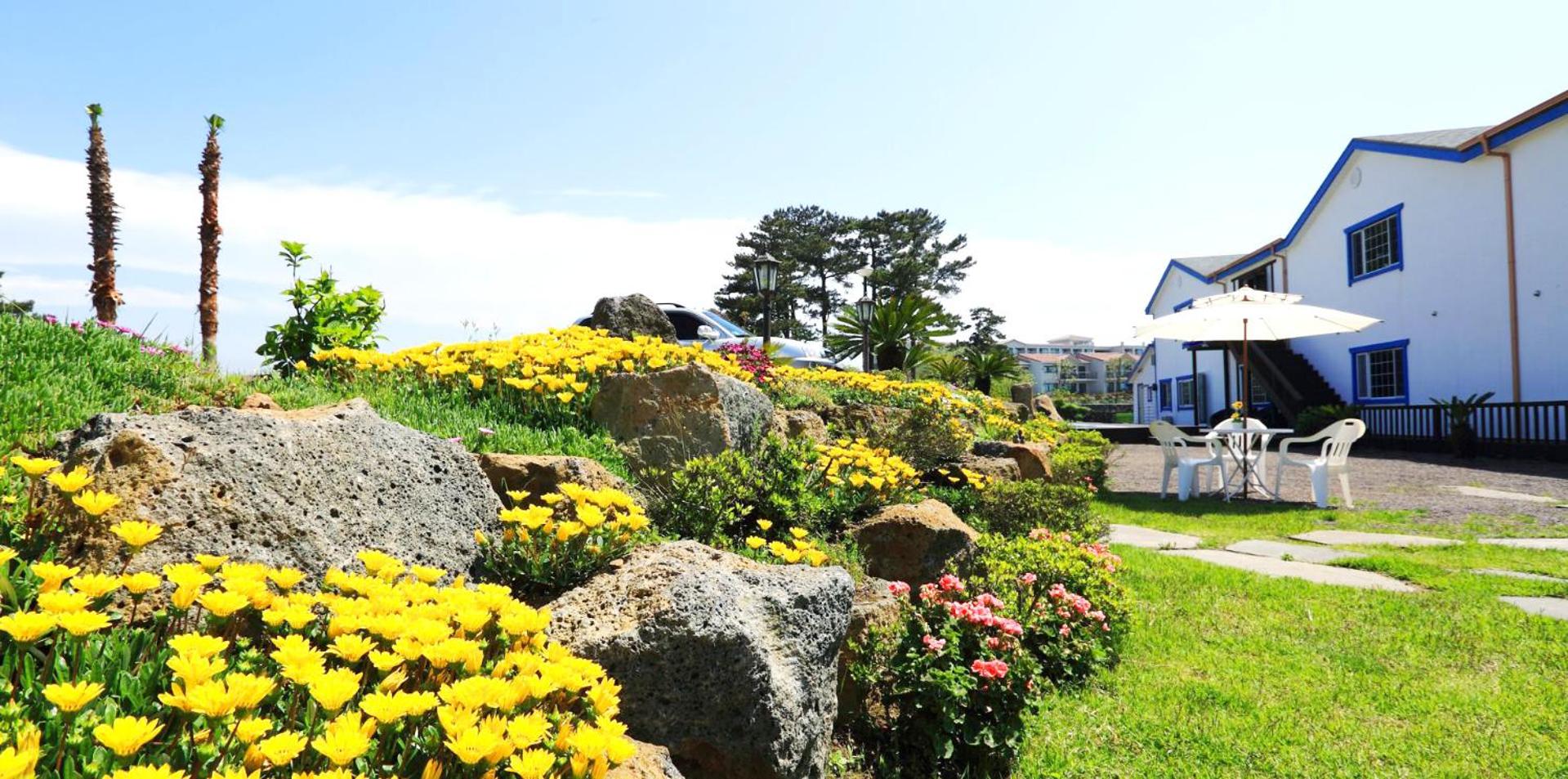 White dream Pension
