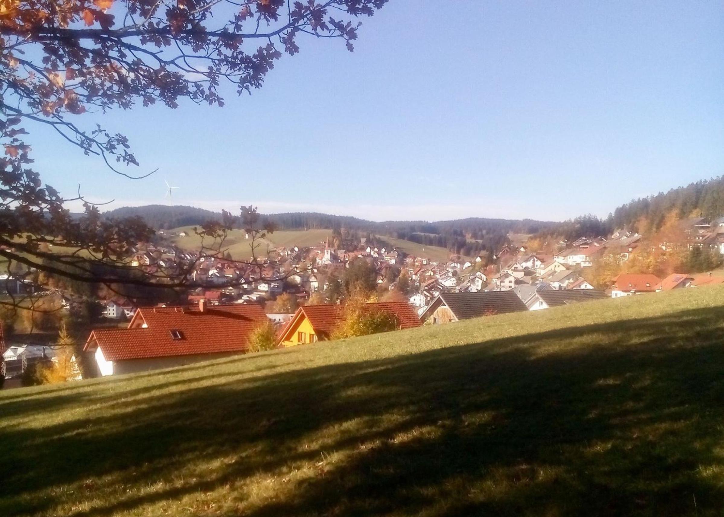 Photo 22
