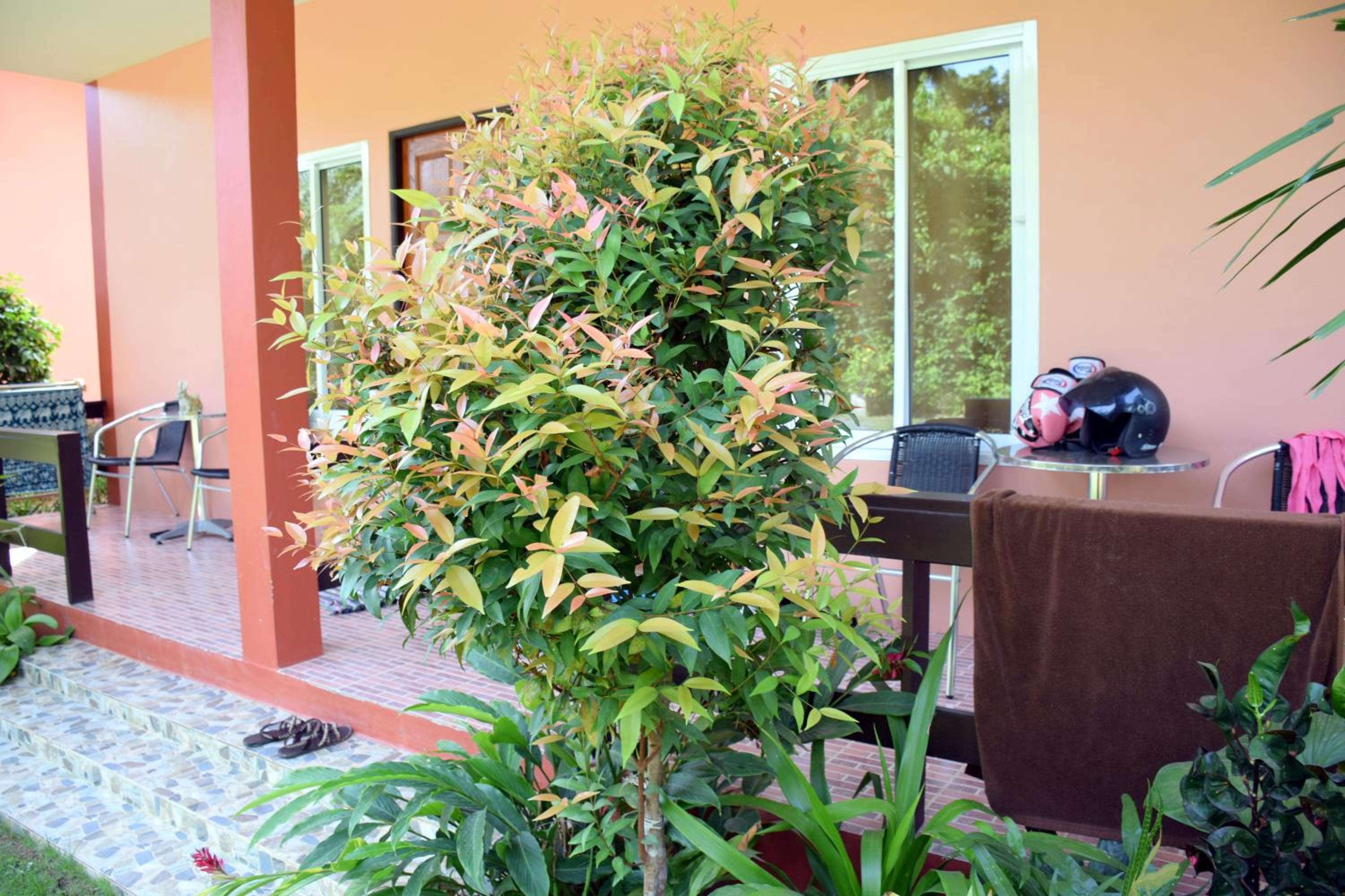 Baan Longhaad