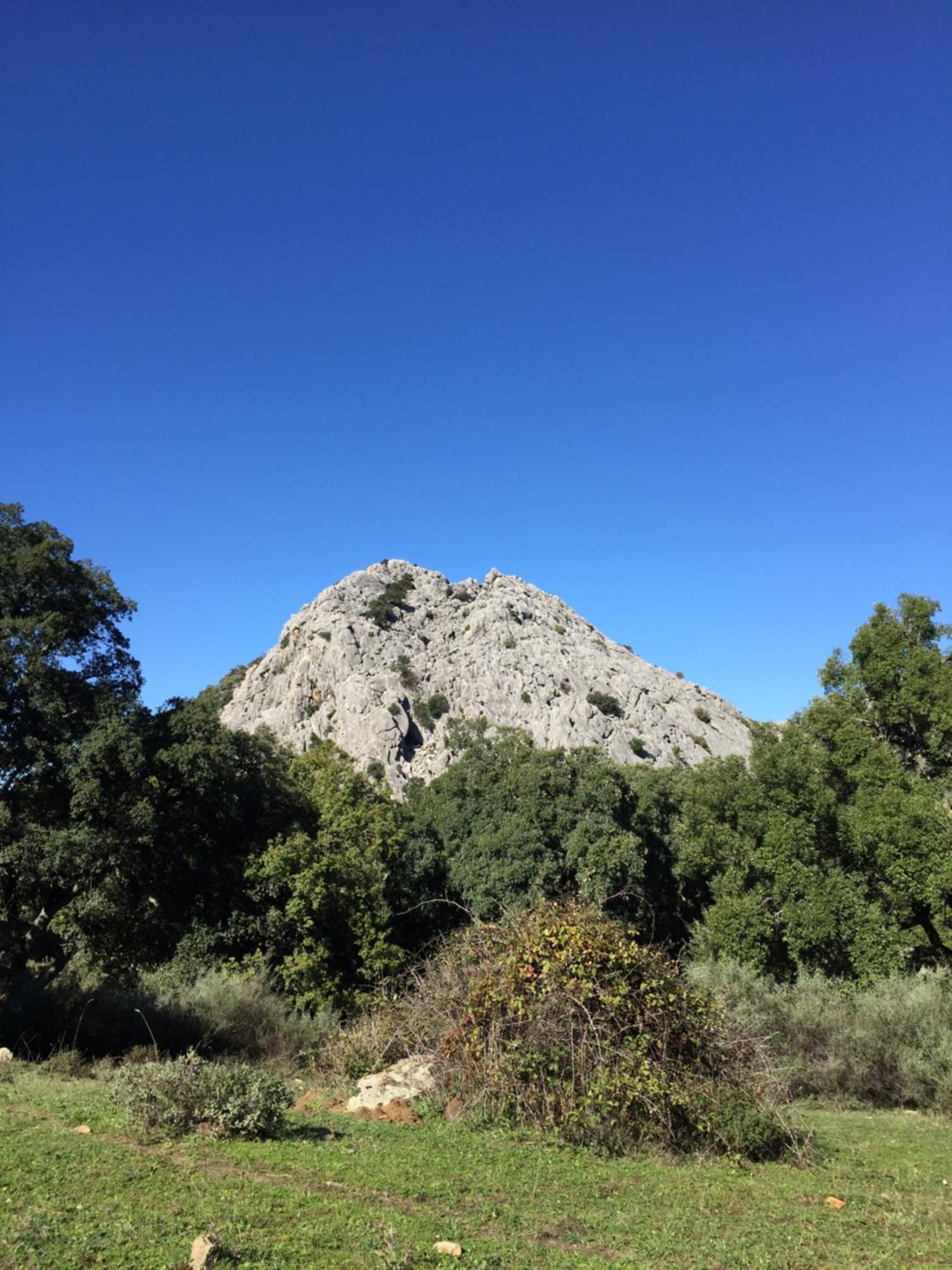 Photo 25