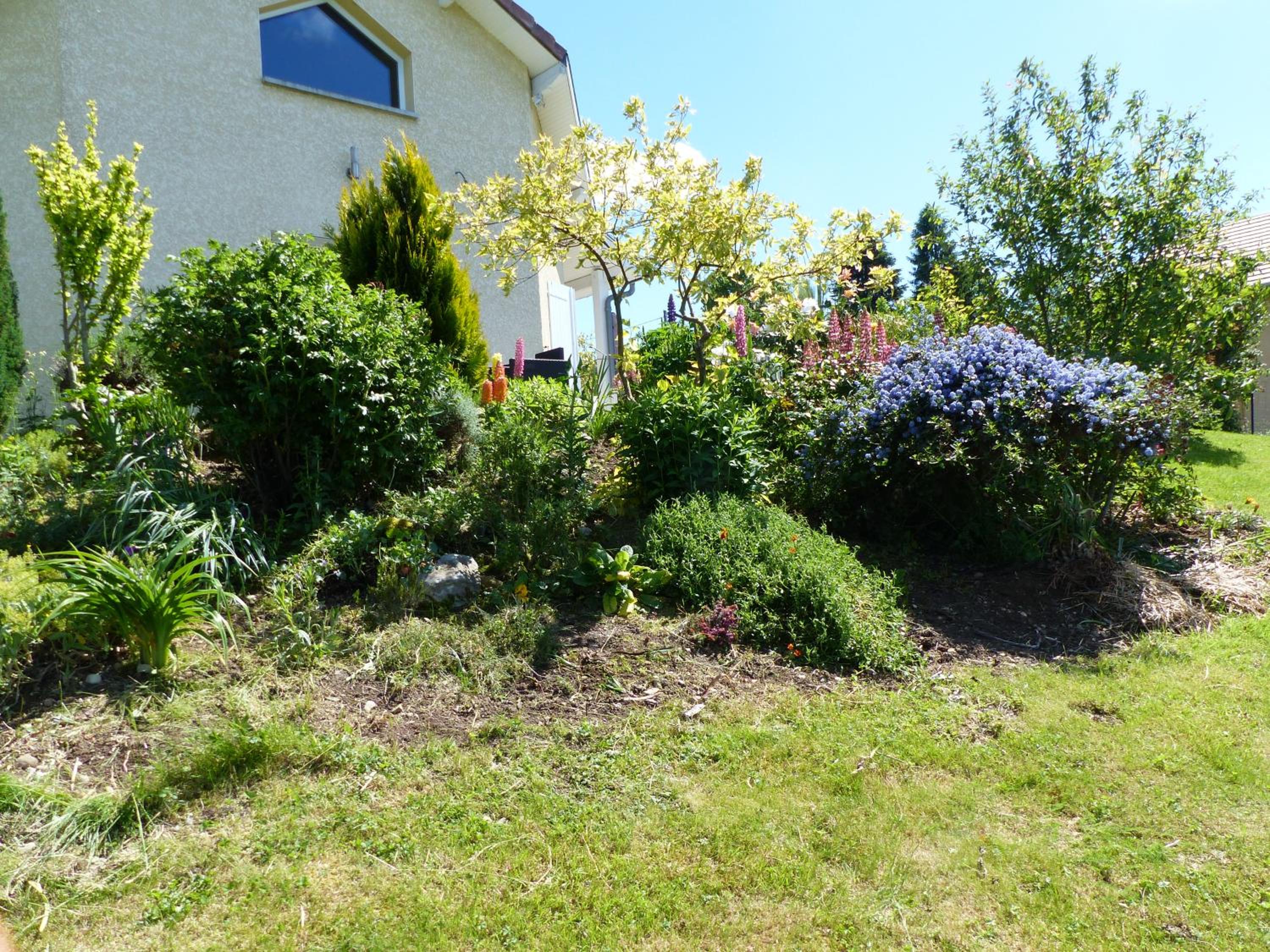 Photo 14