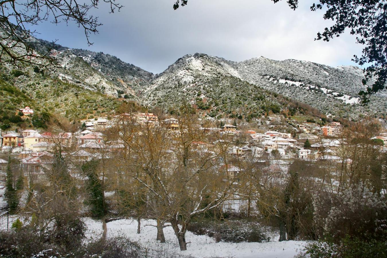 Photo 41