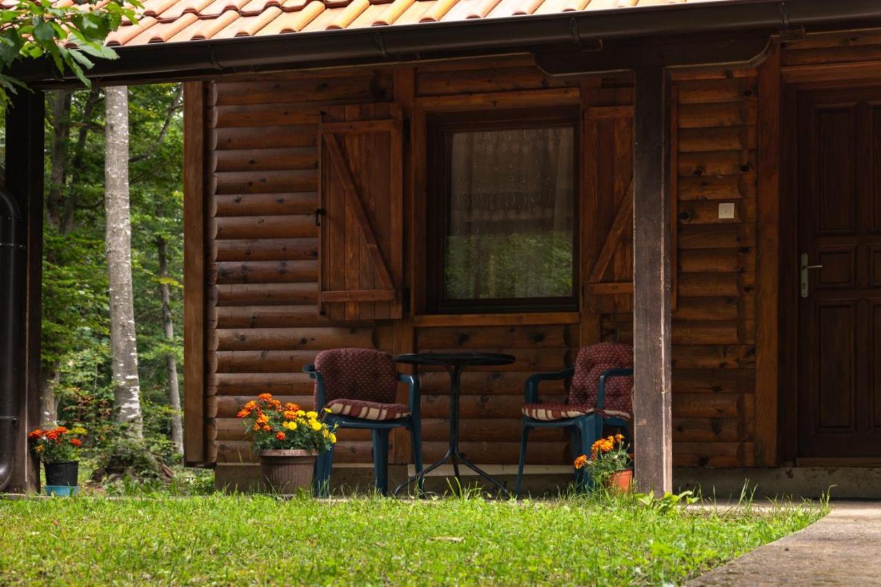 Kuća Za Odmor Jovanović view 5