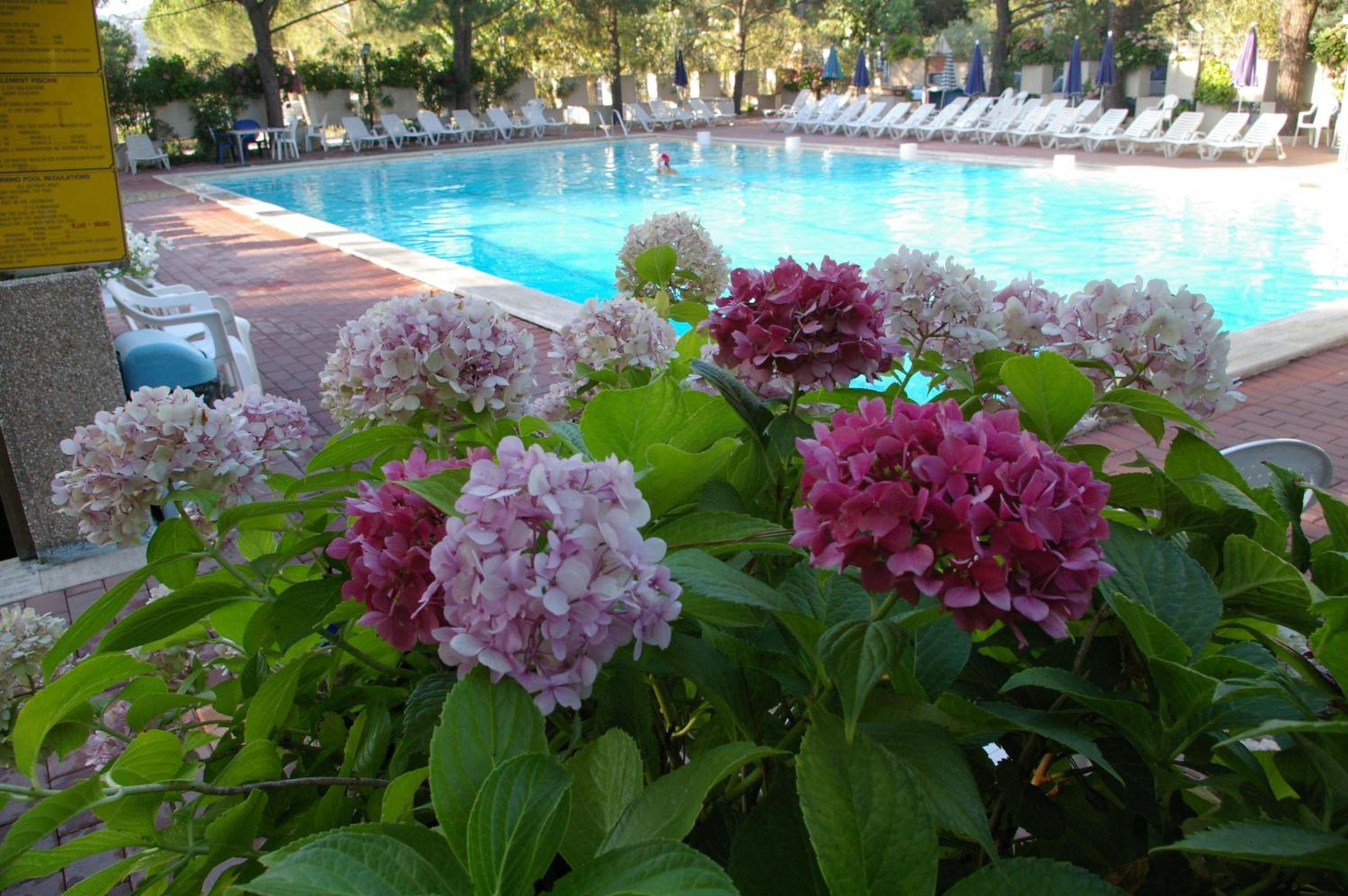 Camping Village Punta Navaccia