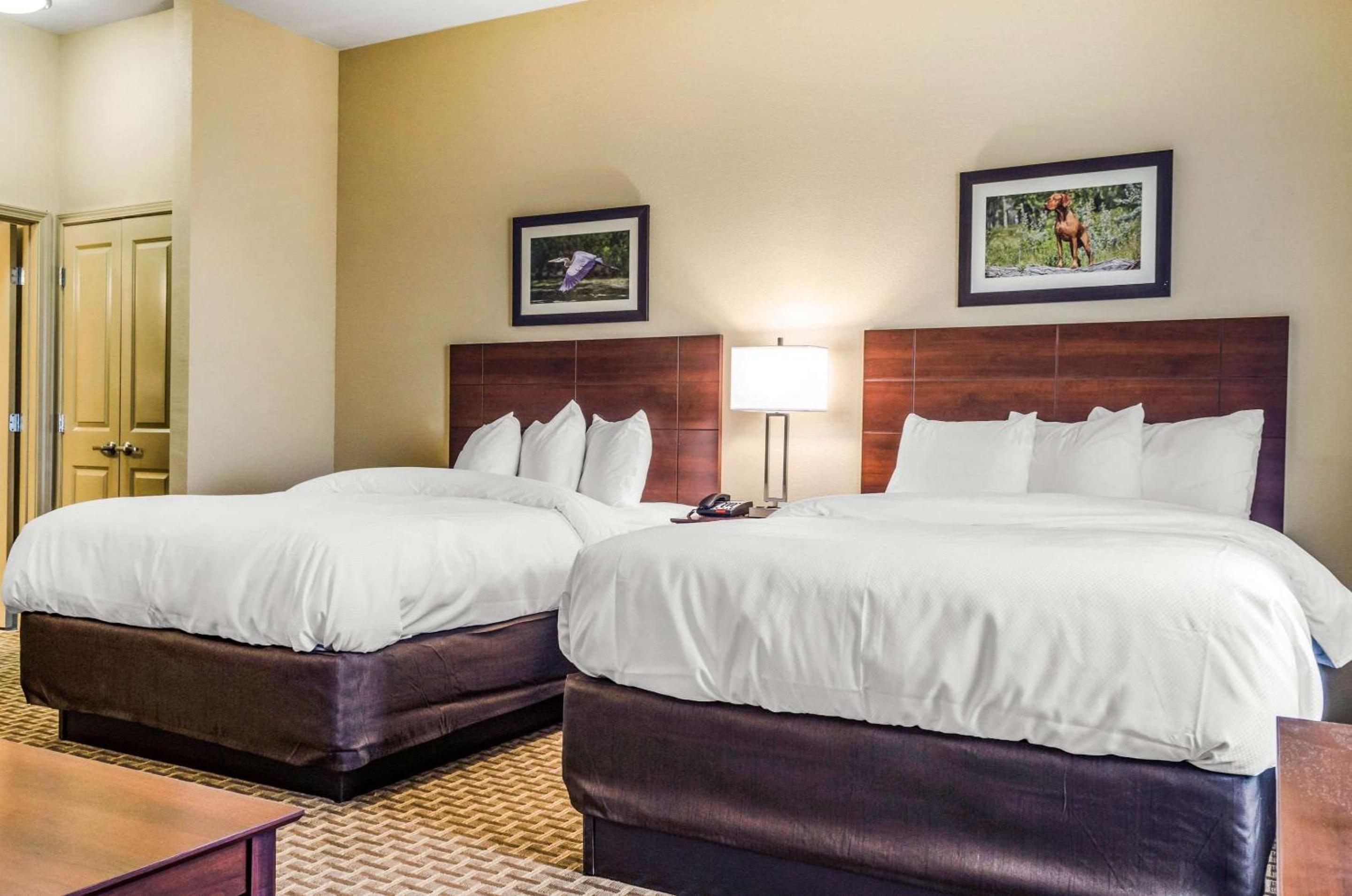 MainStay Suites Hackberry Sportsman's Lodge