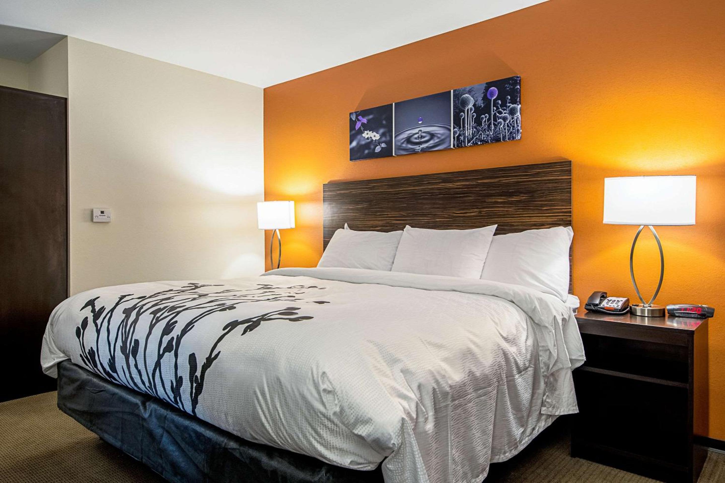 Sleep Inn Geismar - Gonzales