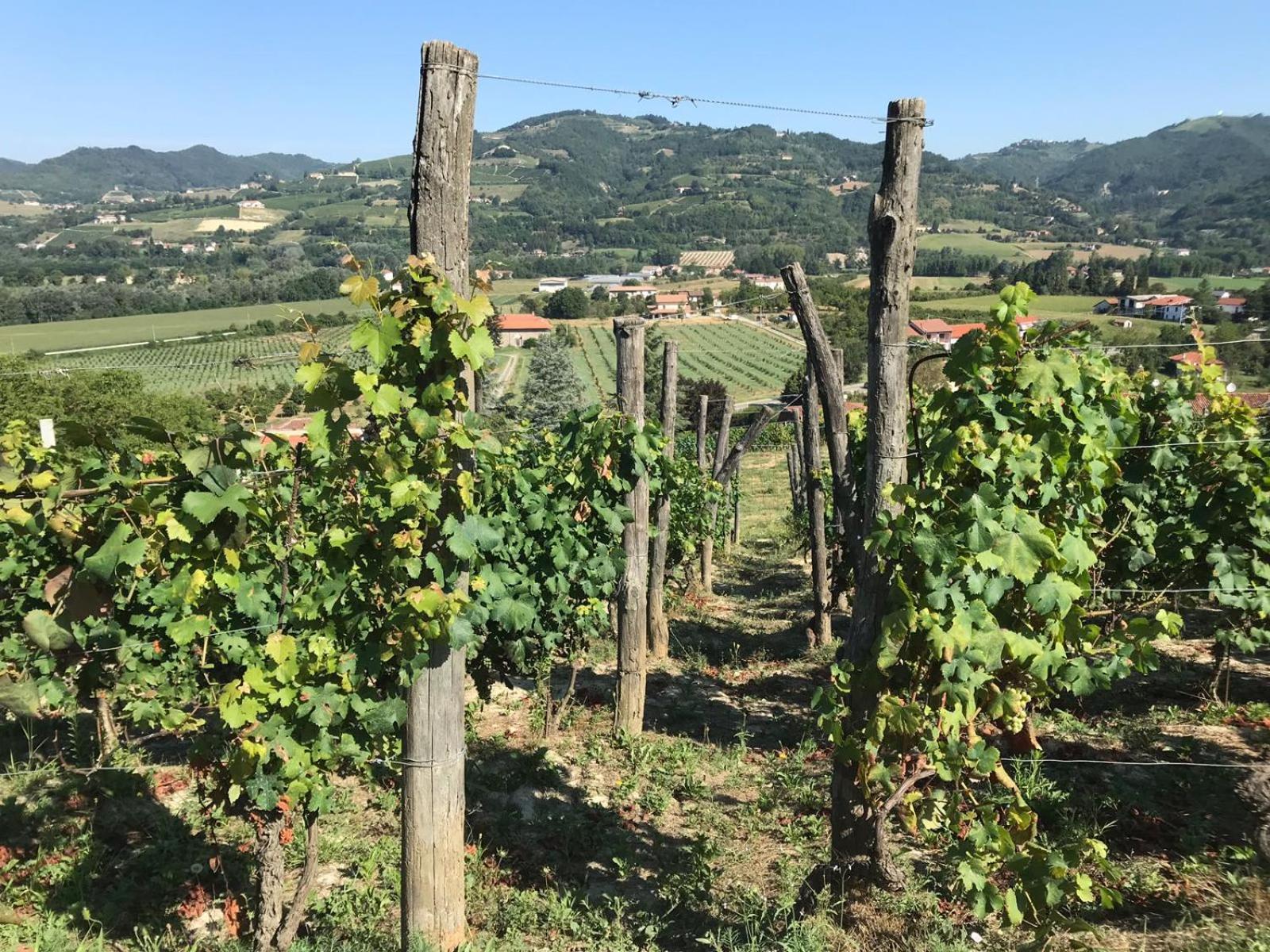 Agriturismo Poderi Zunino