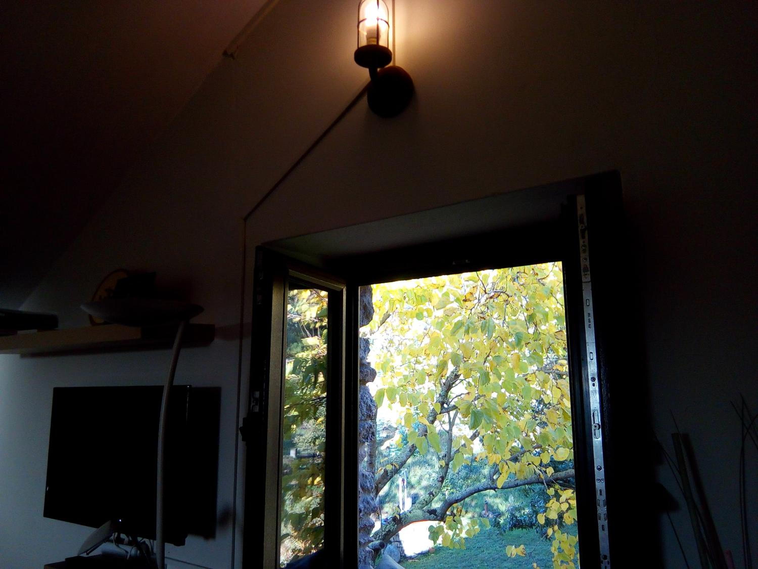 Photo 32