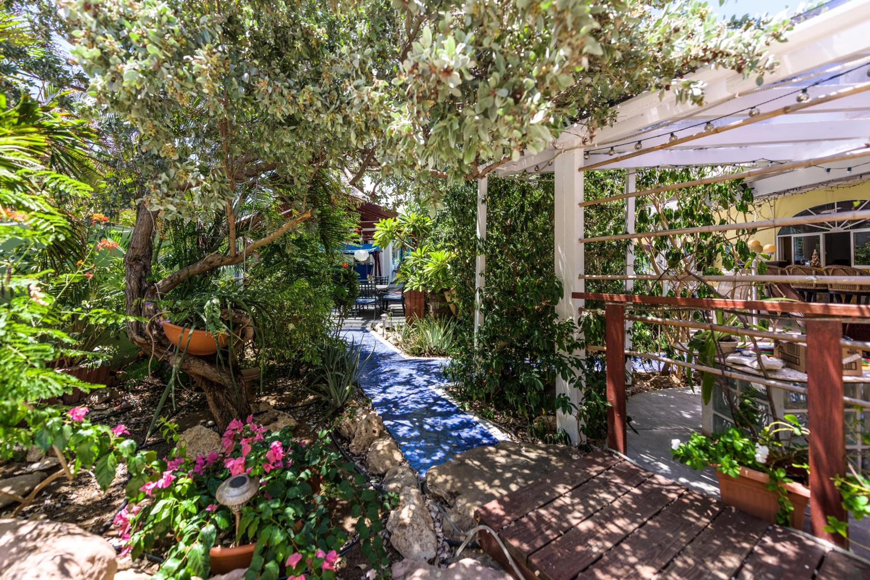 Sunflower Villa Studios