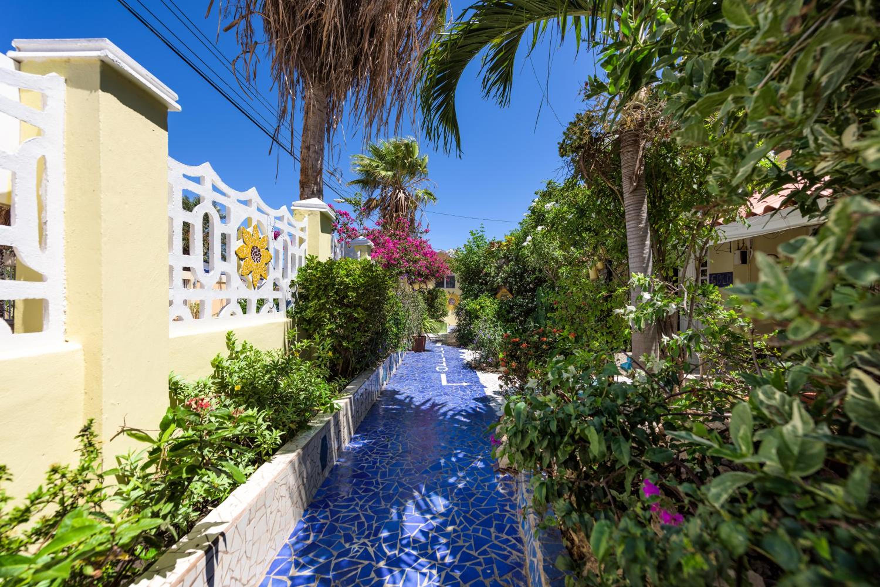 Sunflower Villa Studios