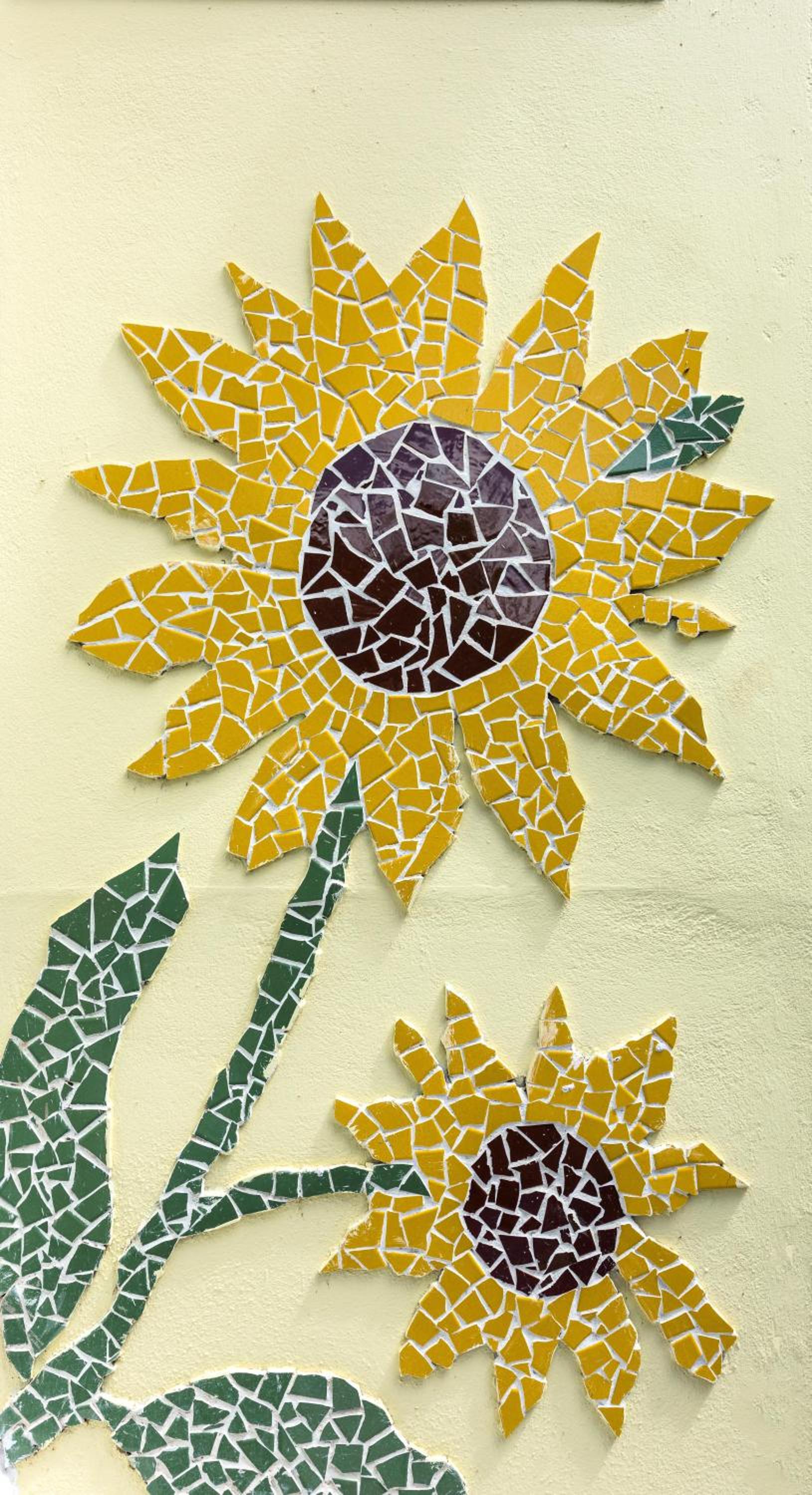Sunflower Villa Studios