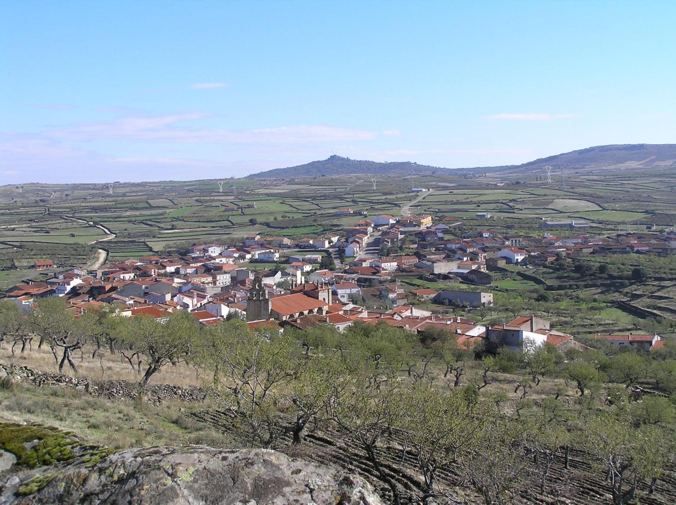 Photo 25