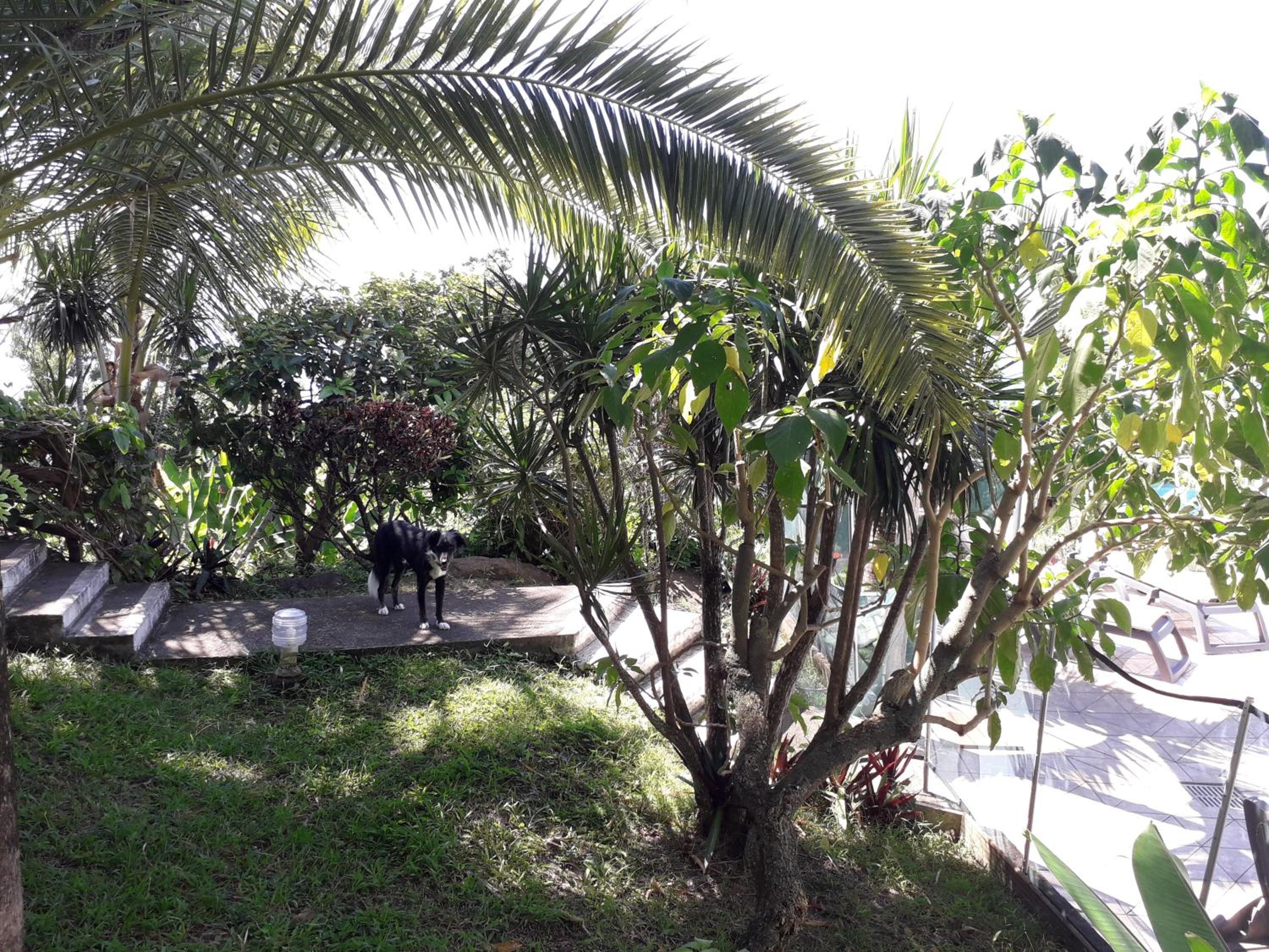 Photo 16