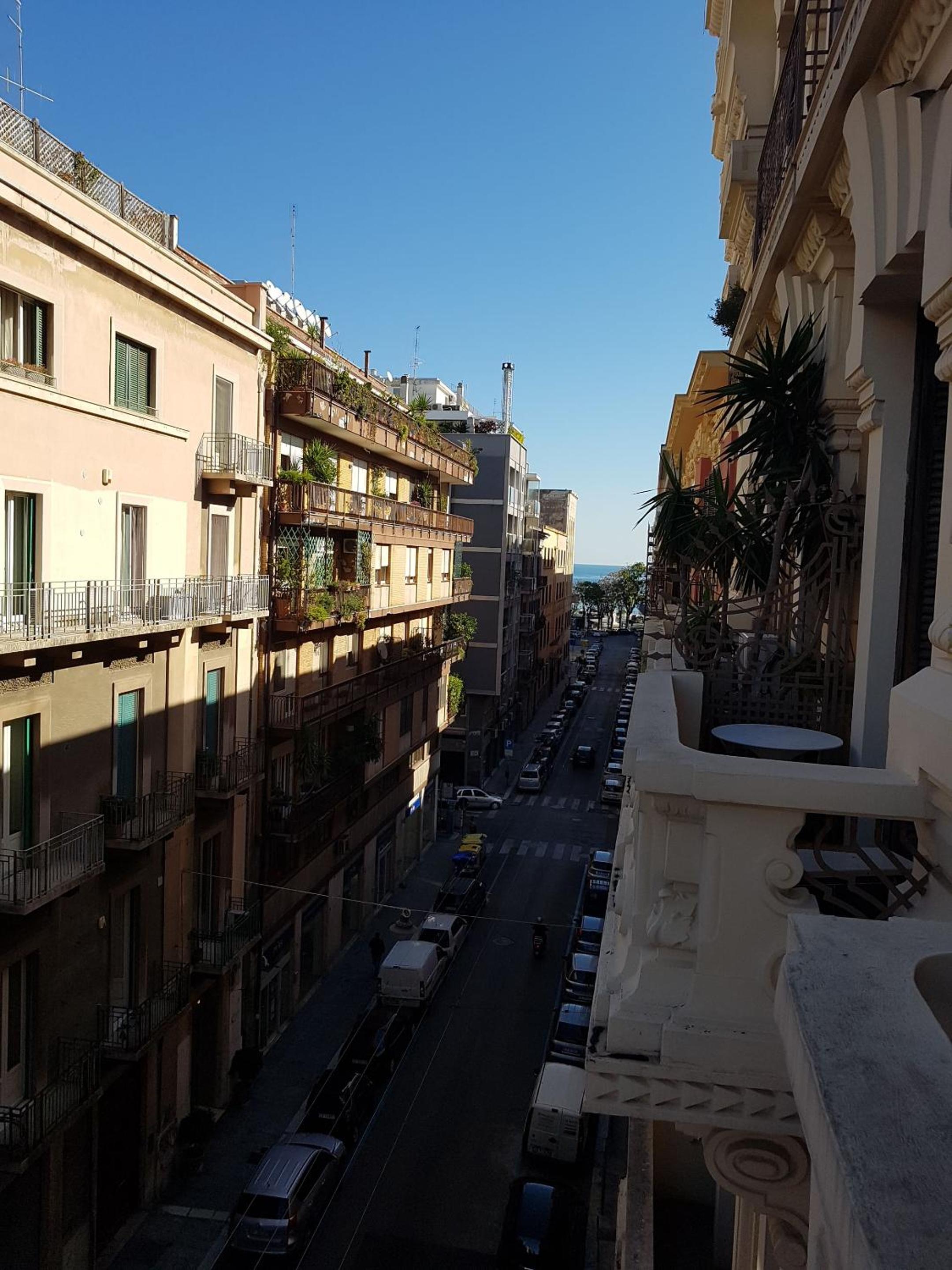 Le BB view 5