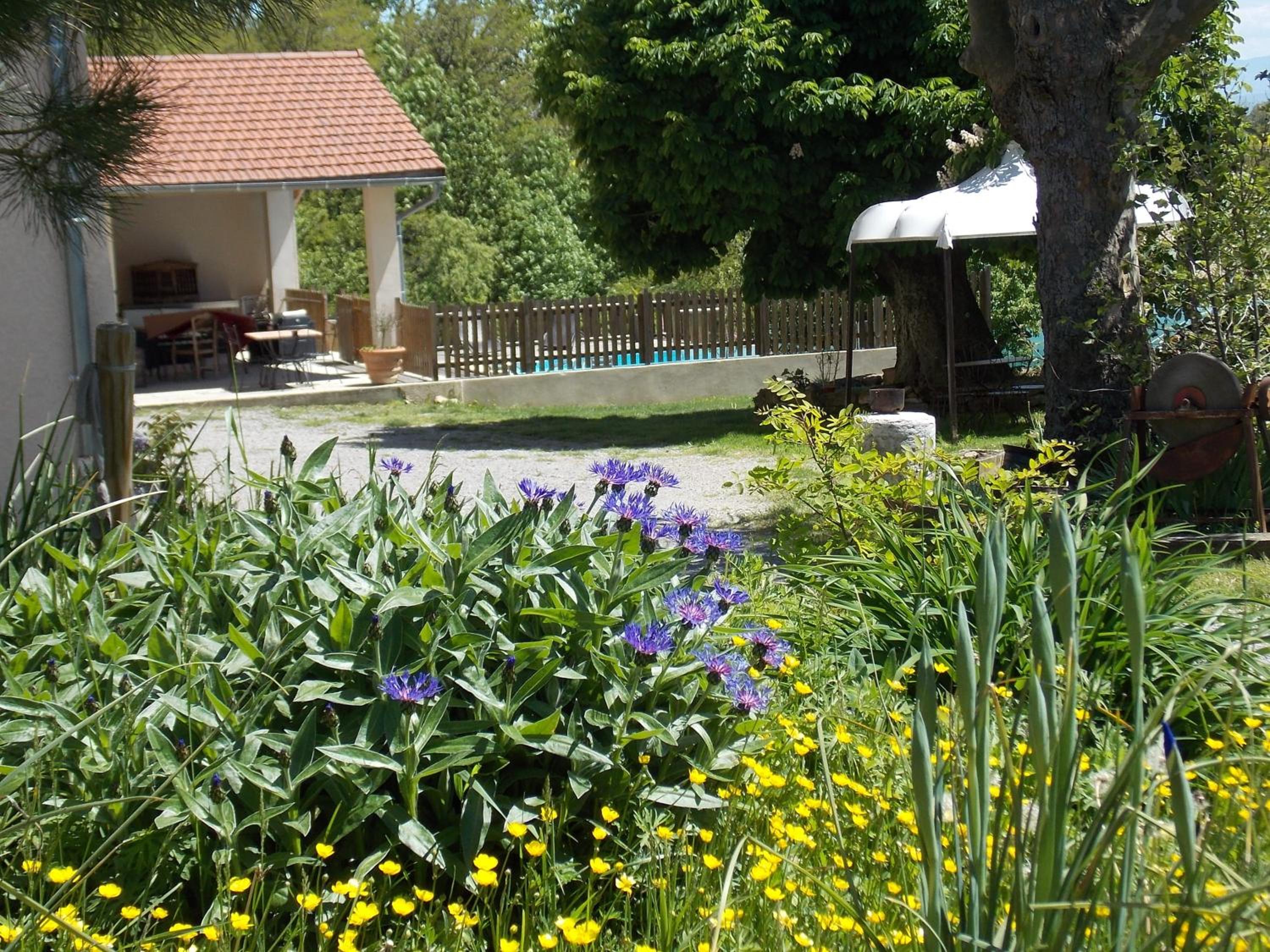 Photo 20